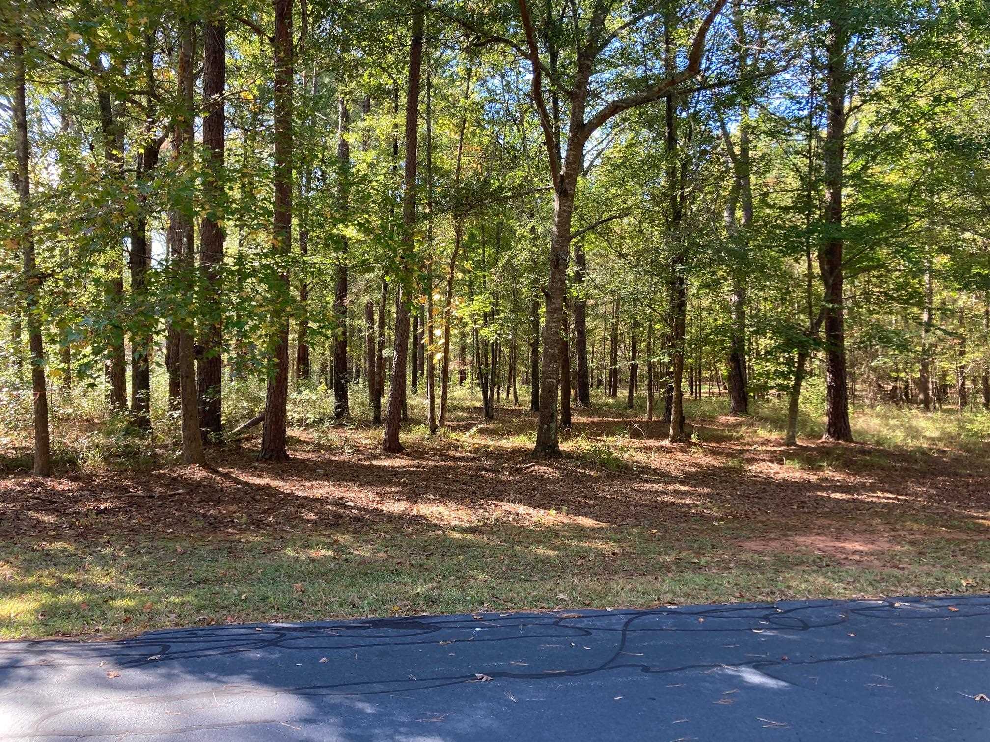 108 Porterfield Drive image 10