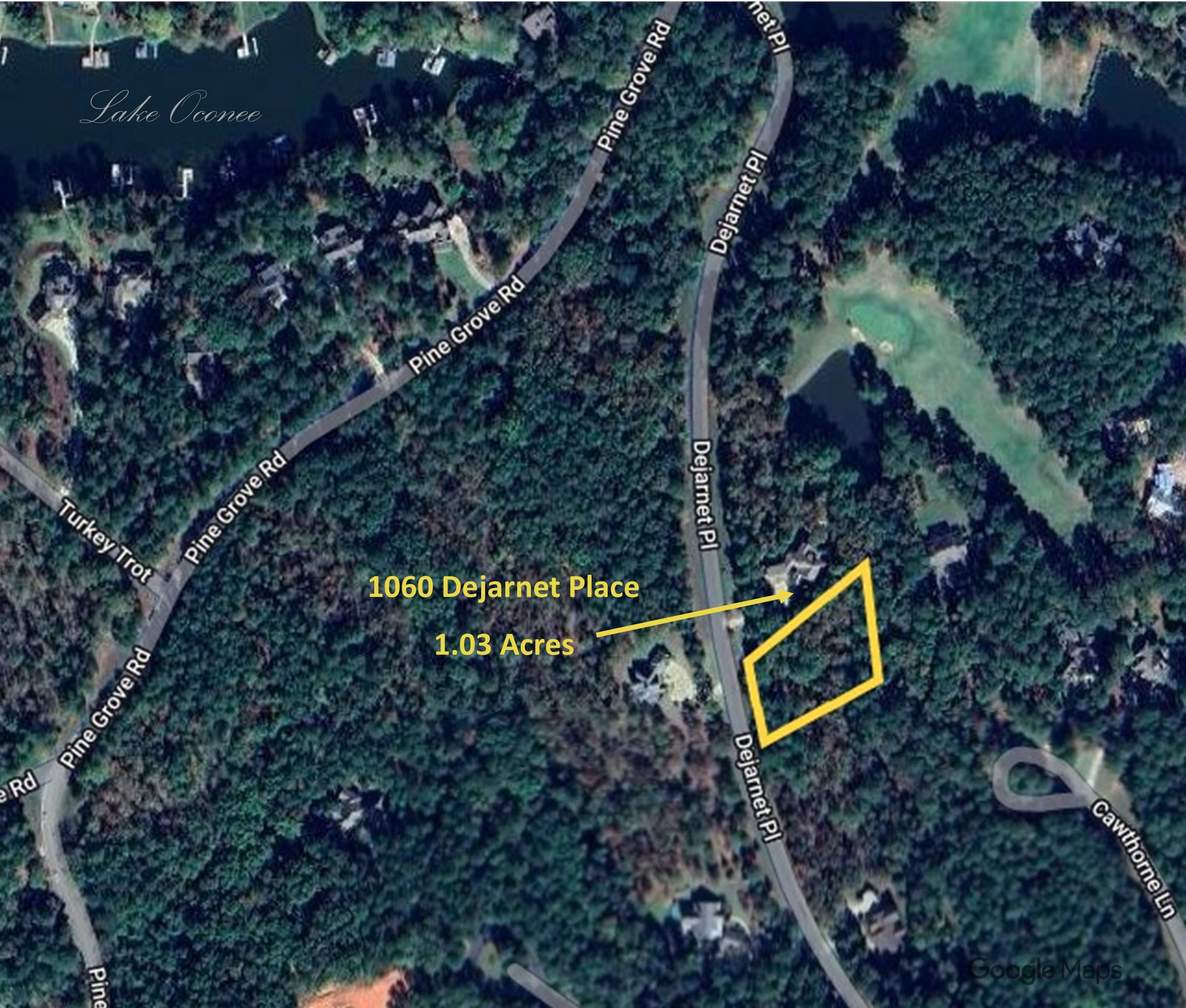 1060 Dejarnet Place image 12