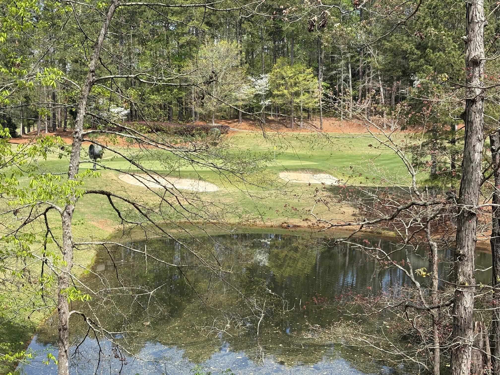 1060 Dejarnet Place image 14