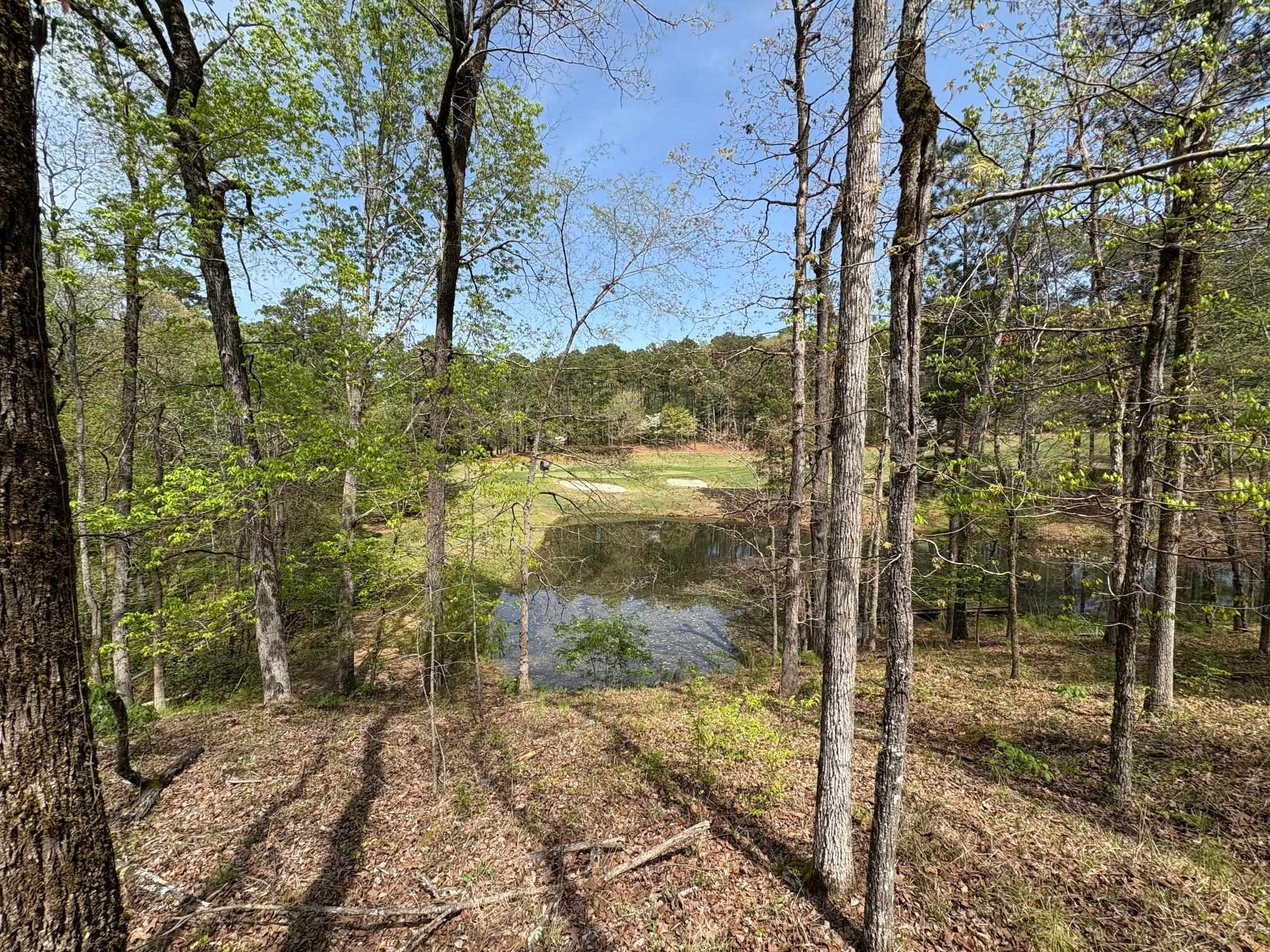 1060 Dejarnet Place image 13