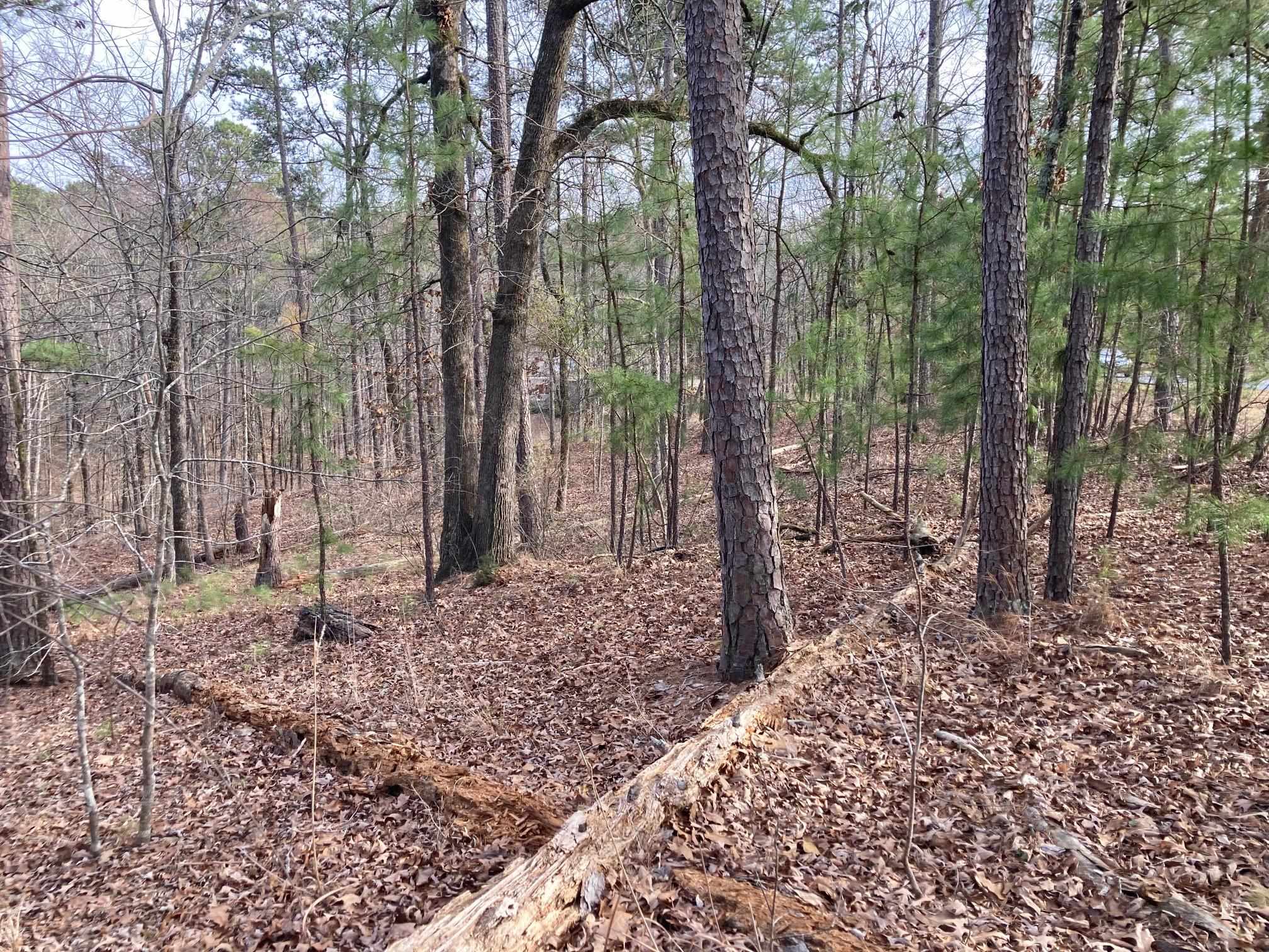 1060 Dejarnet Place image 9