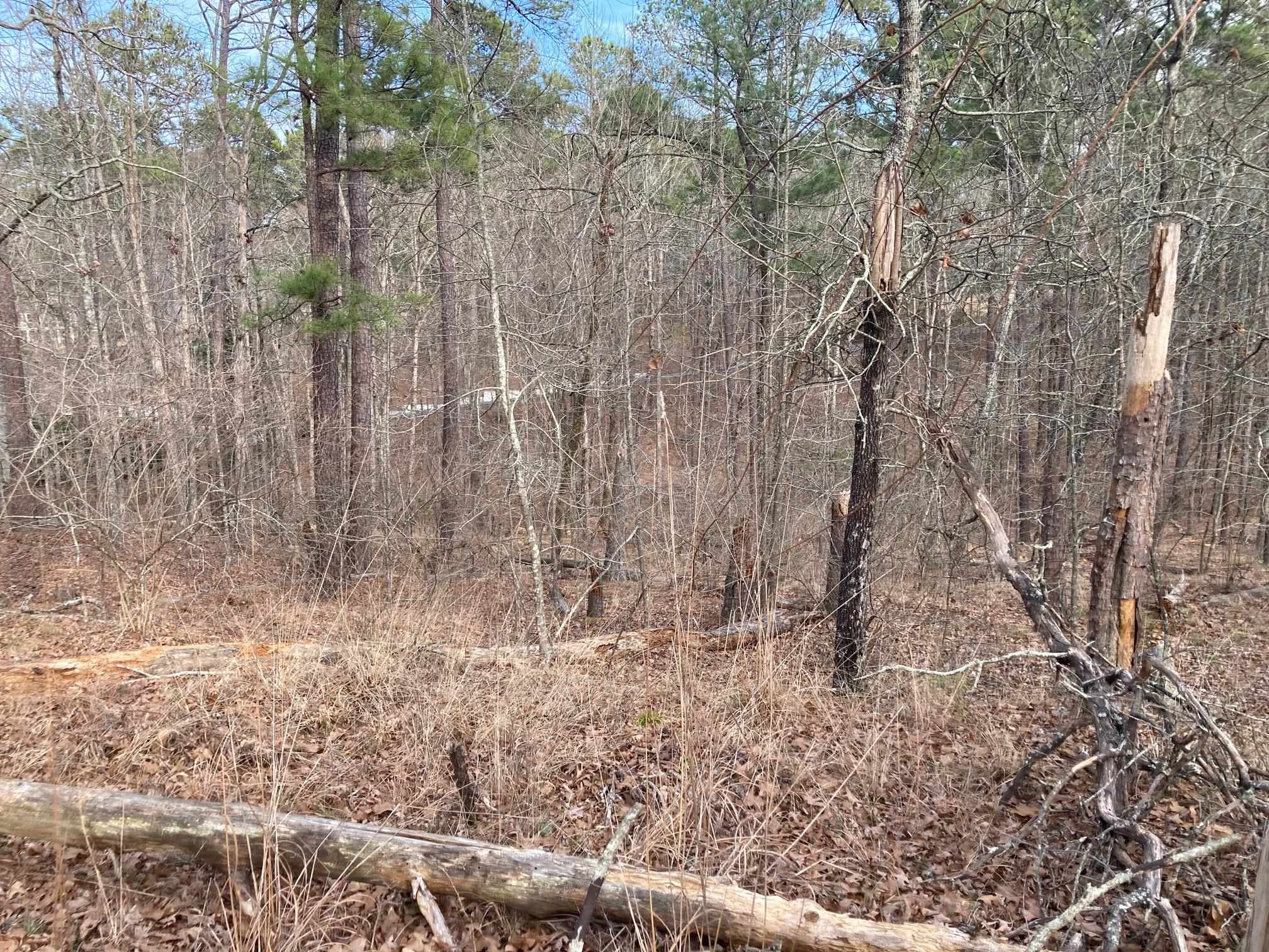 1060 Dejarnet Place image 10