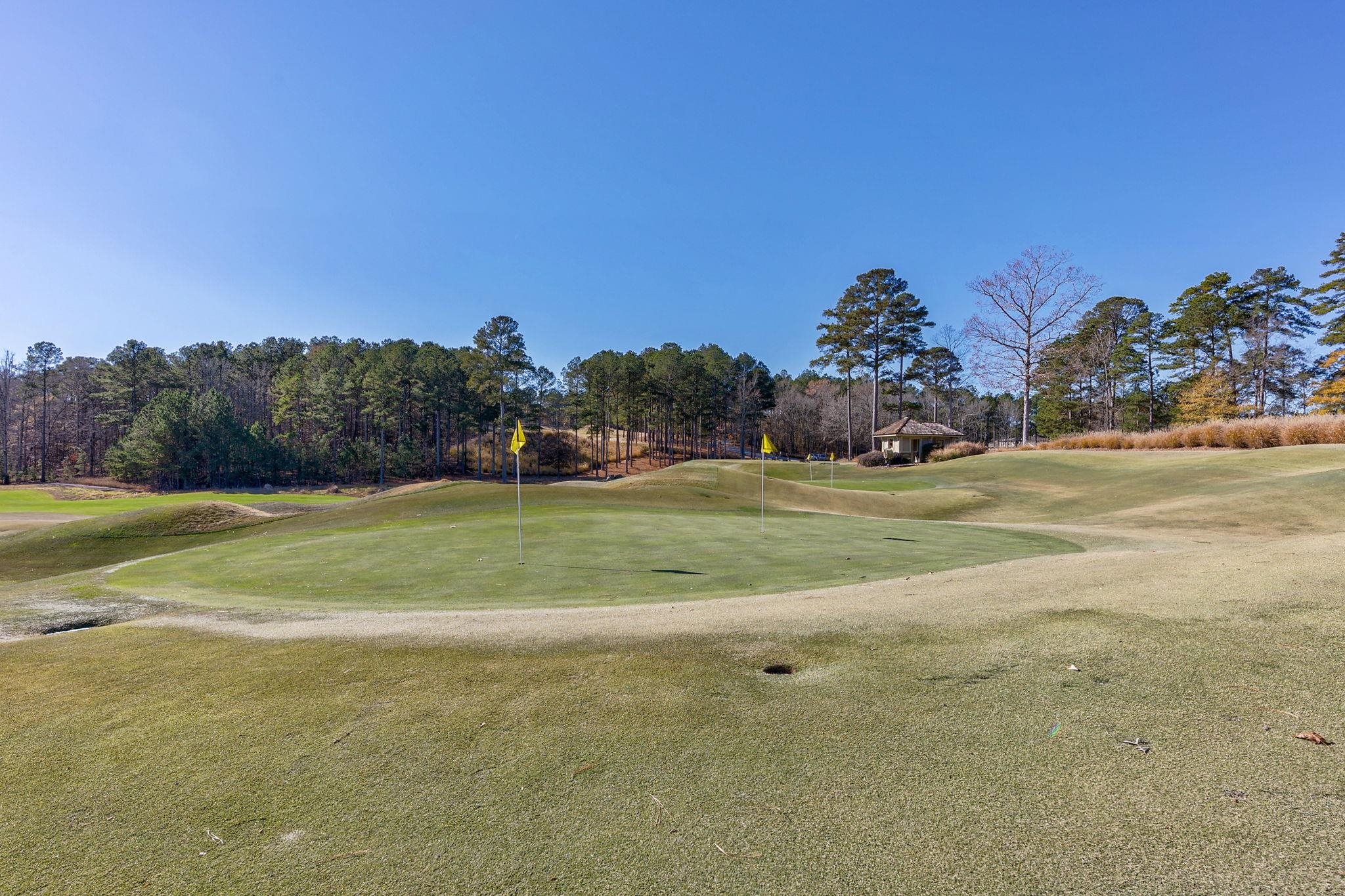 1040 BUNKER BEND image 17