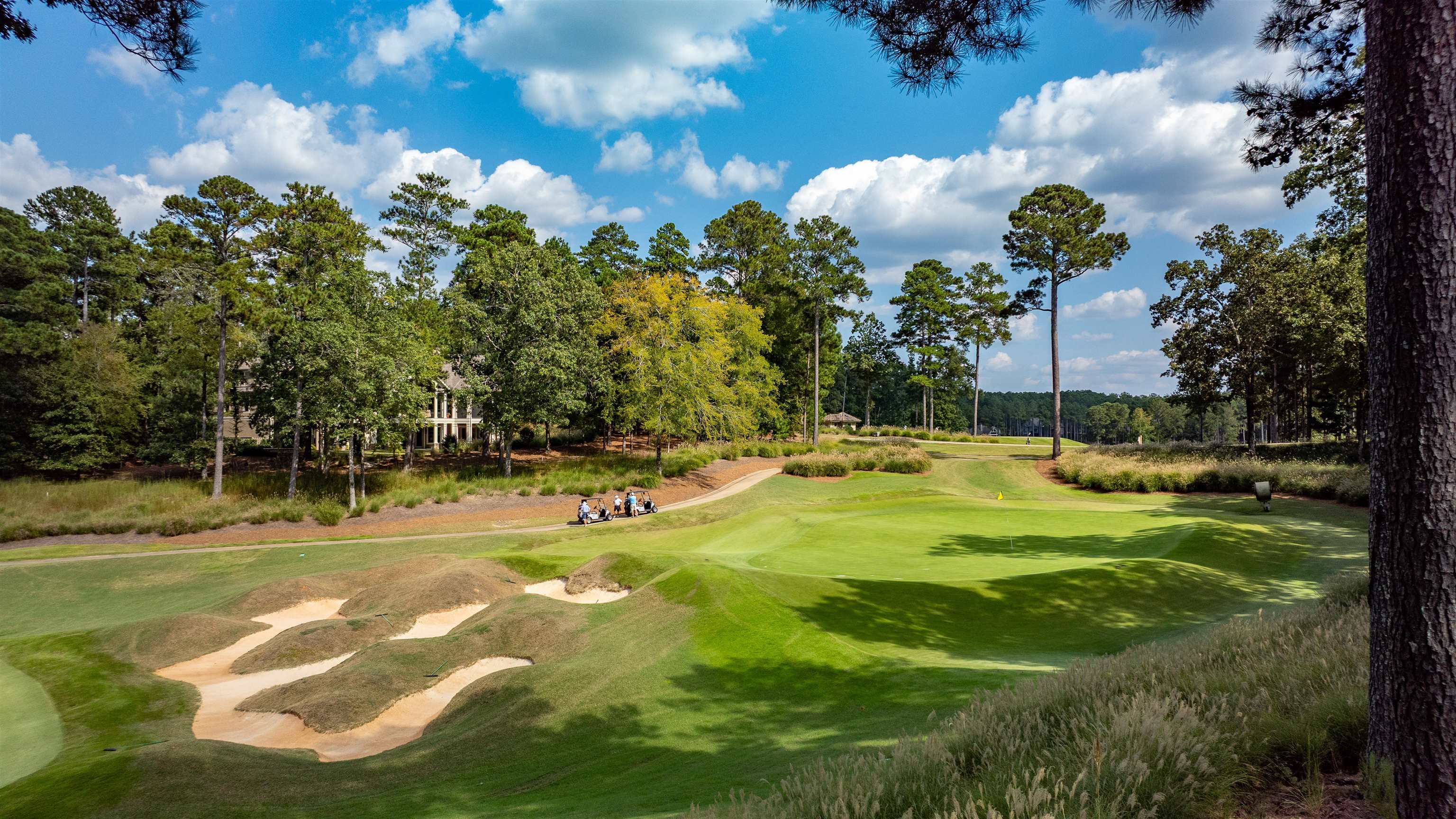 1031 OLIVER CREEK image 13