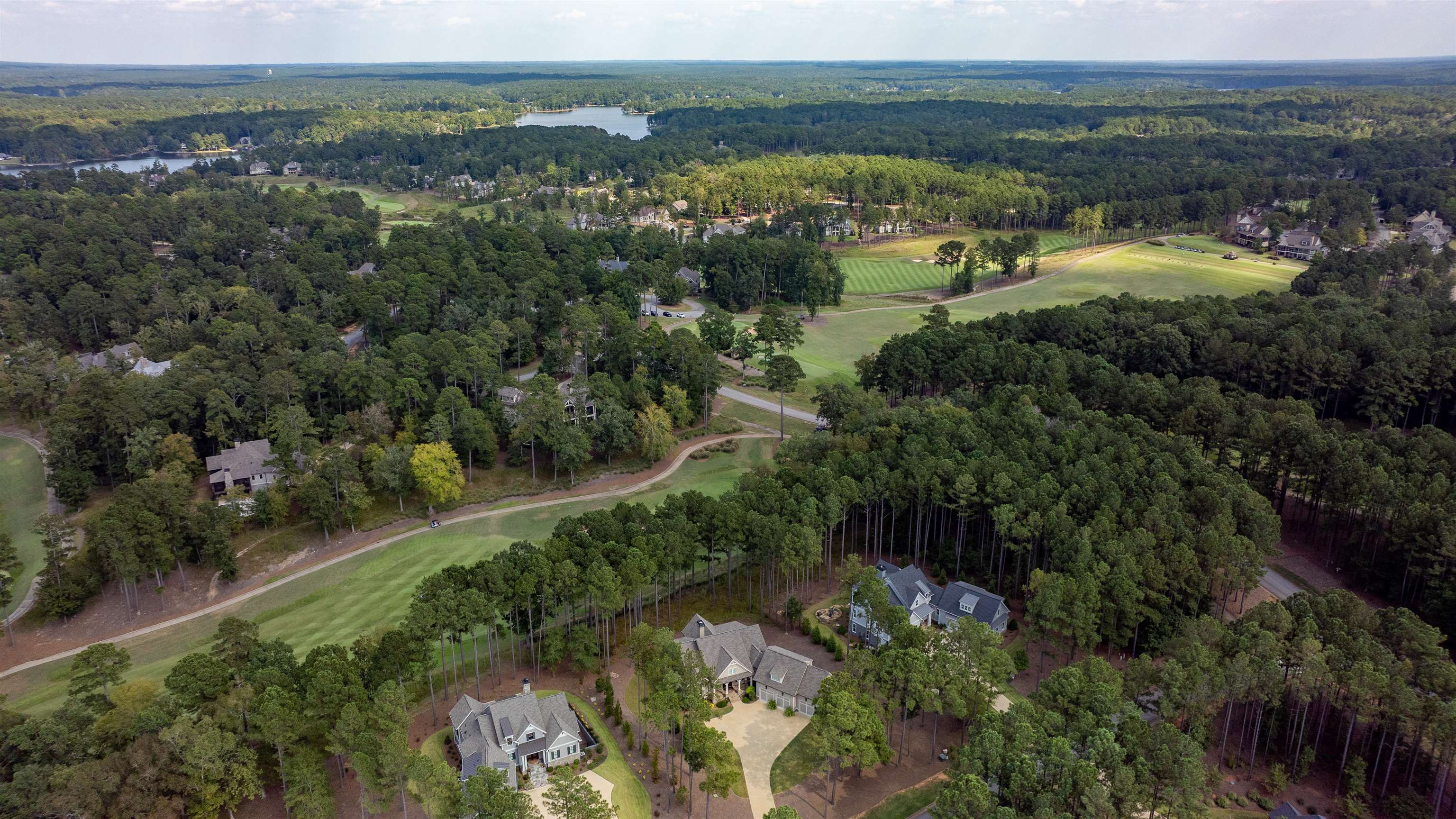 1031 OLIVER CREEK image 16