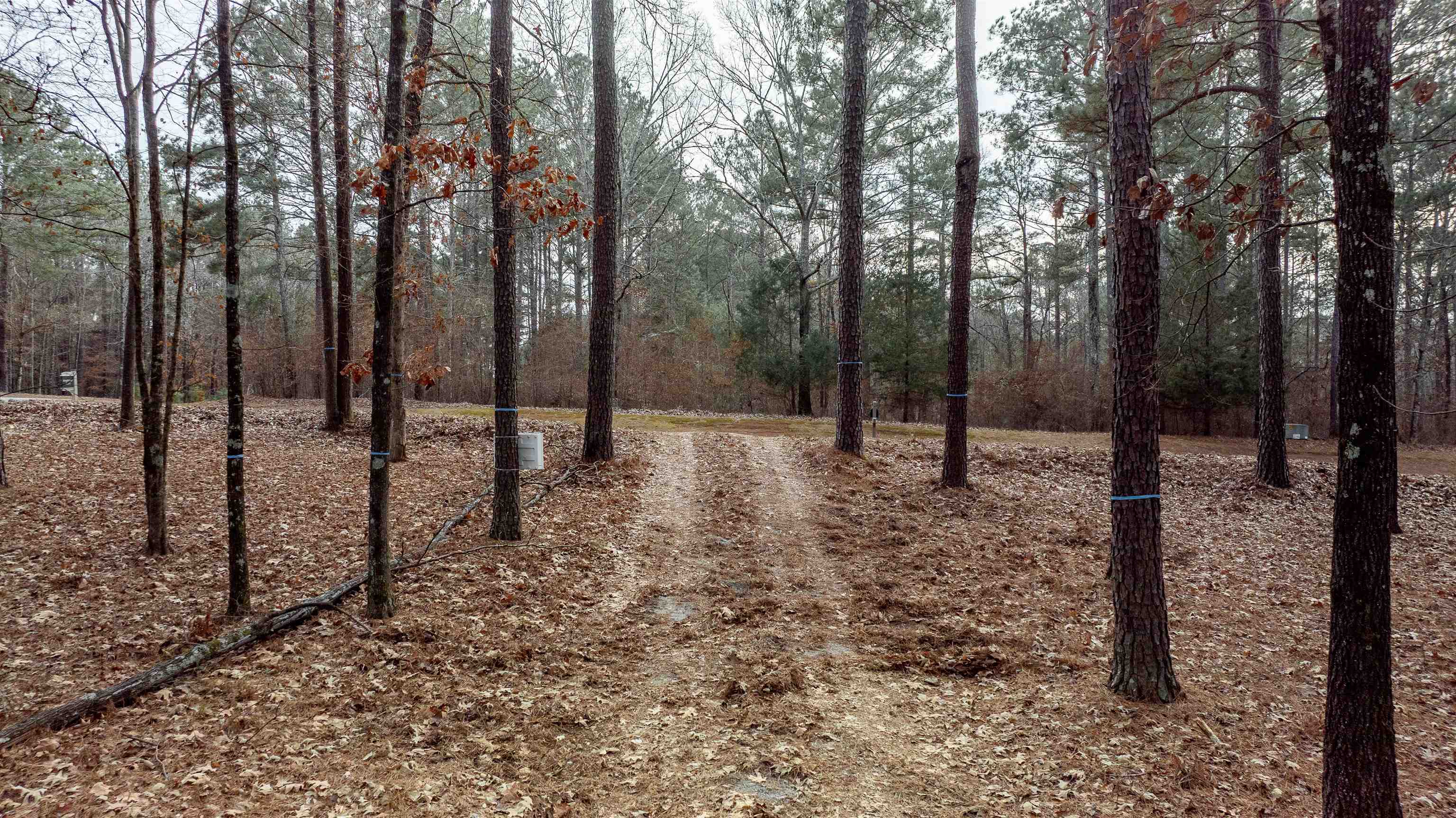 1191 Sunset Overlook image 9