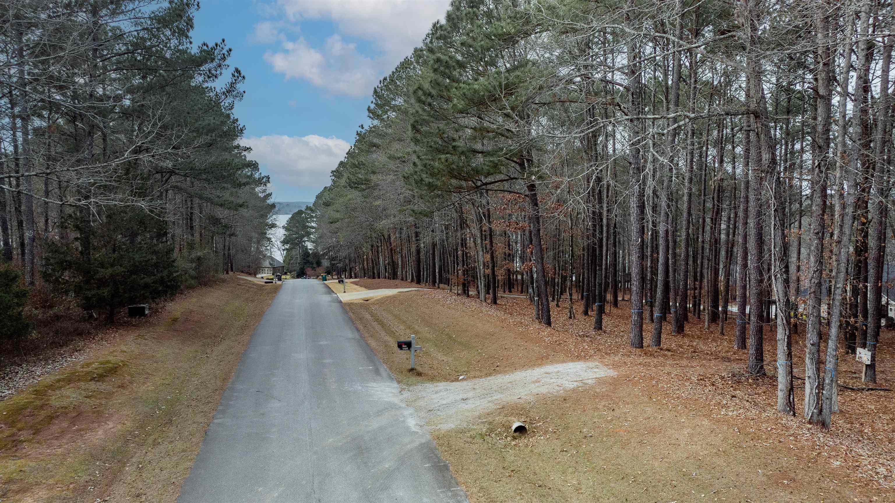 1191 Sunset Overlook image 10