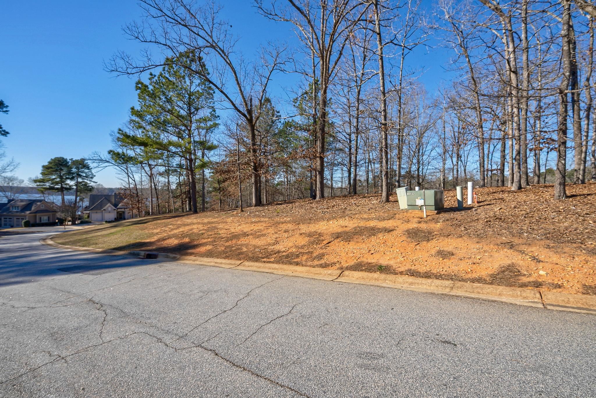 1051 Emerald View Drive image 11