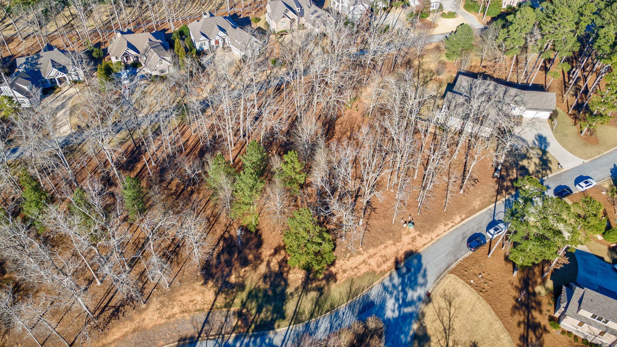 1051 Emerald View Drive image 6