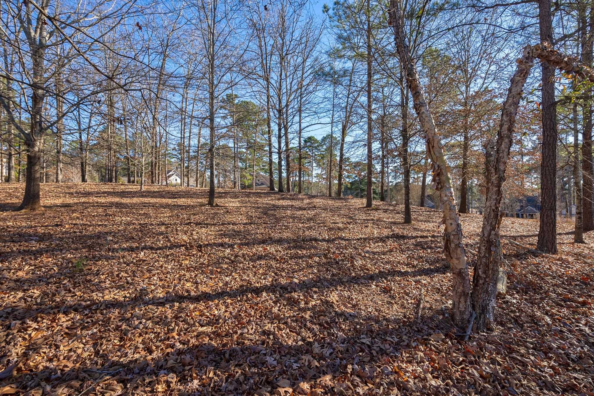 1051 Emerald View Drive image 8