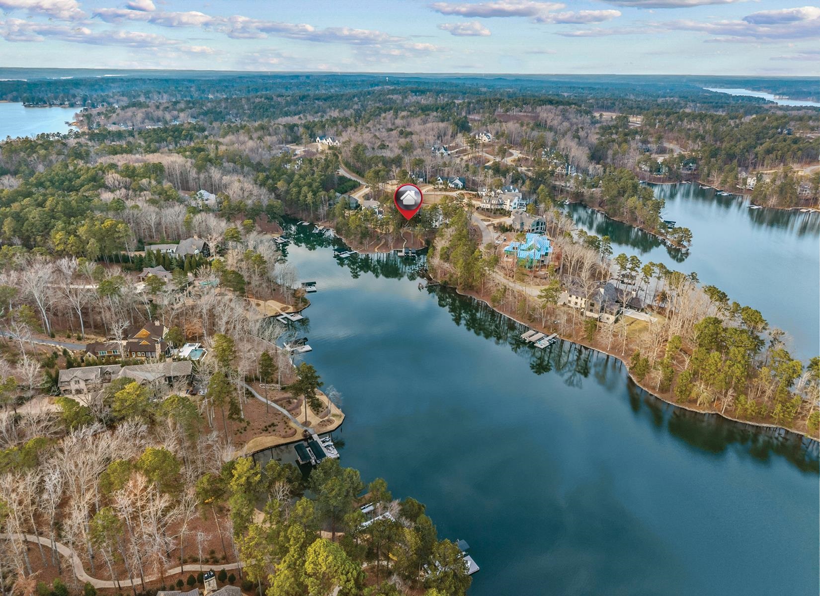 1131 NEARY RIDGE image 73