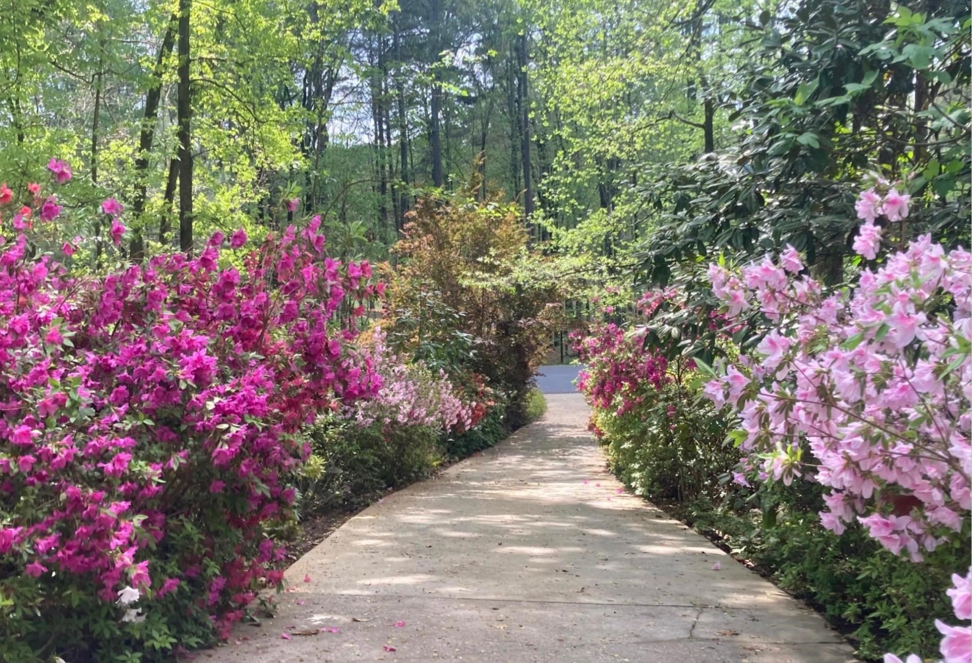 1091 MAPLE RIDGE WAY image 36