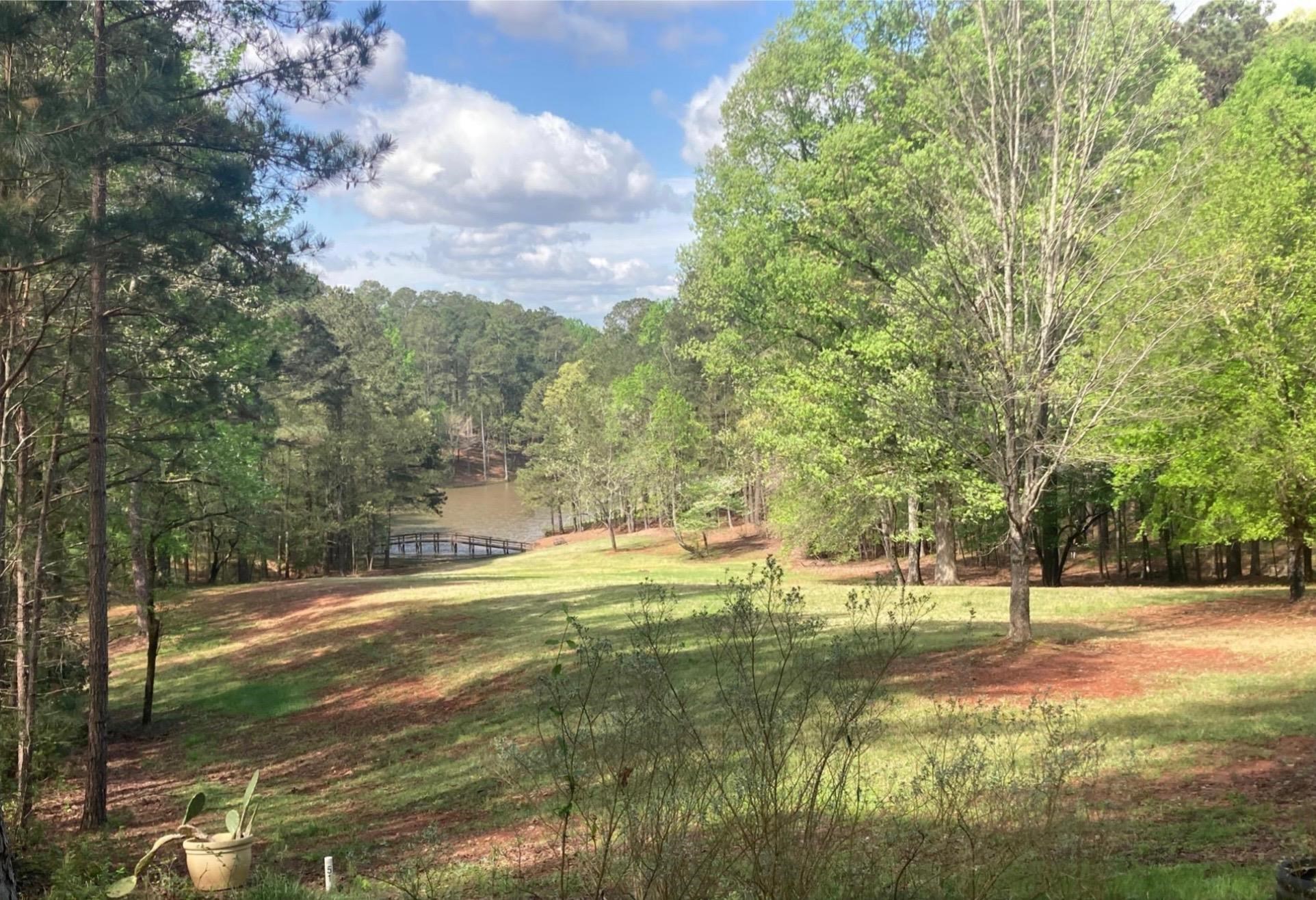 1091 MAPLE RIDGE WAY image 41