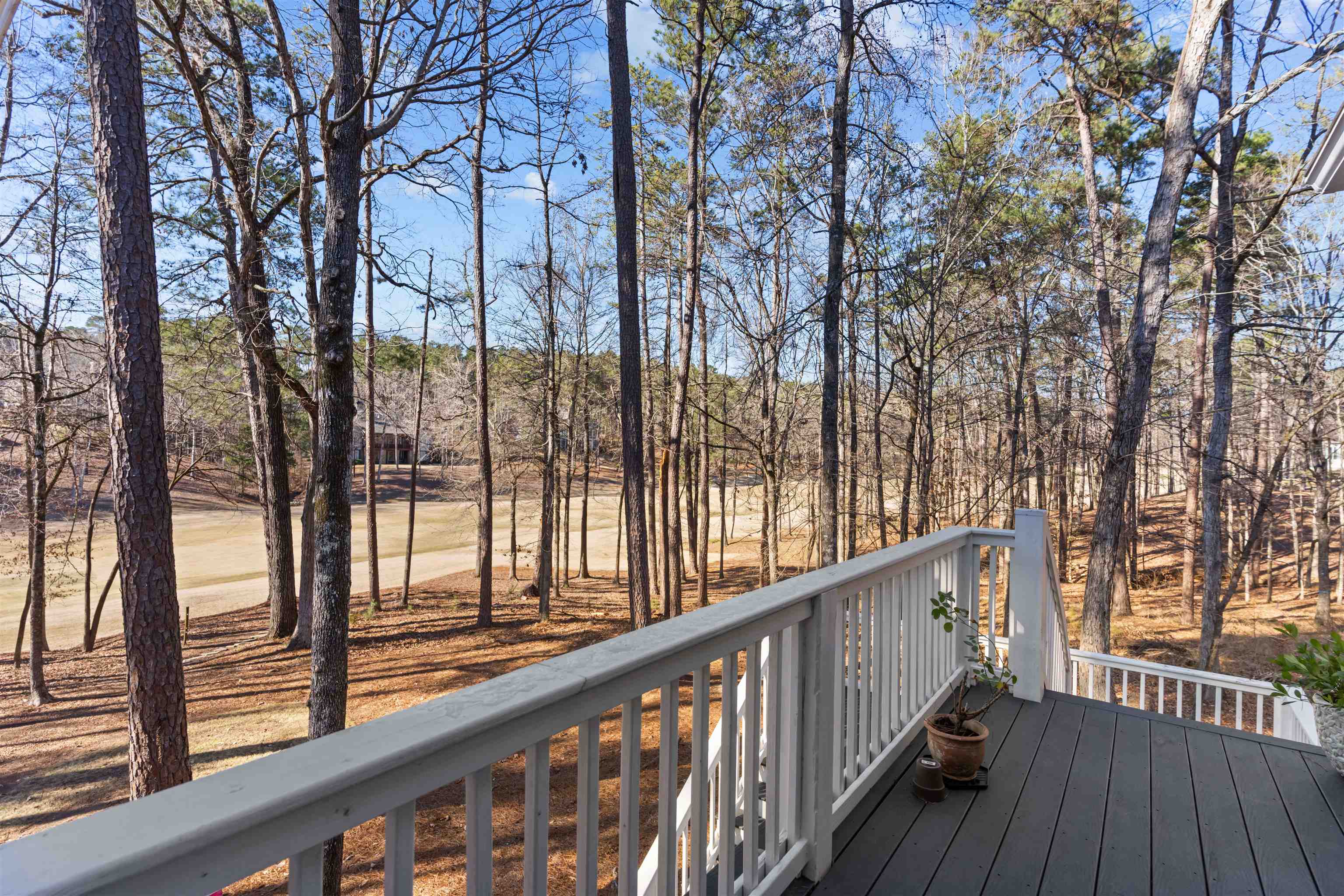 1301 PLANTERS TRAIL image 33