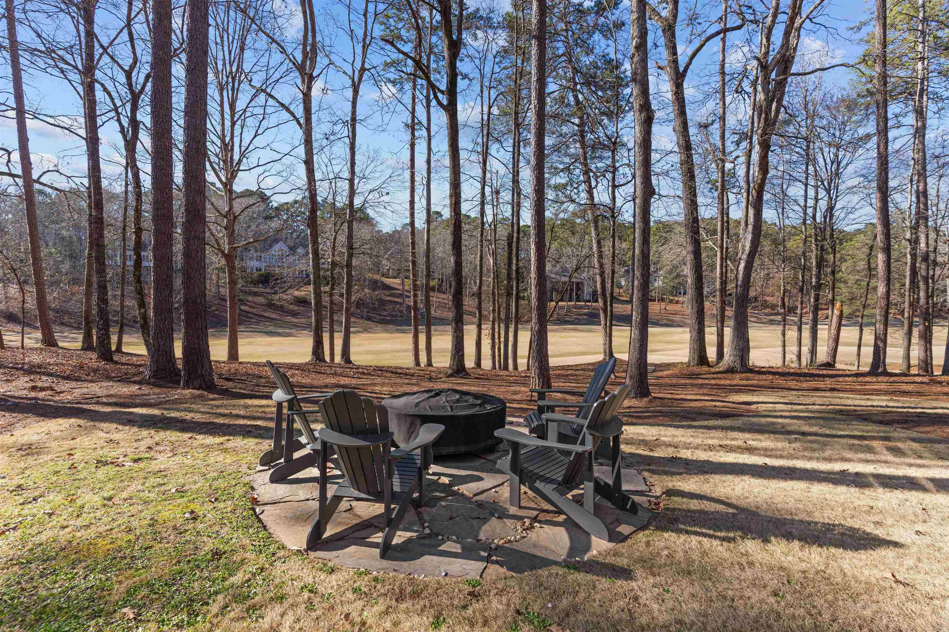 1301 PLANTERS TRAIL image 67