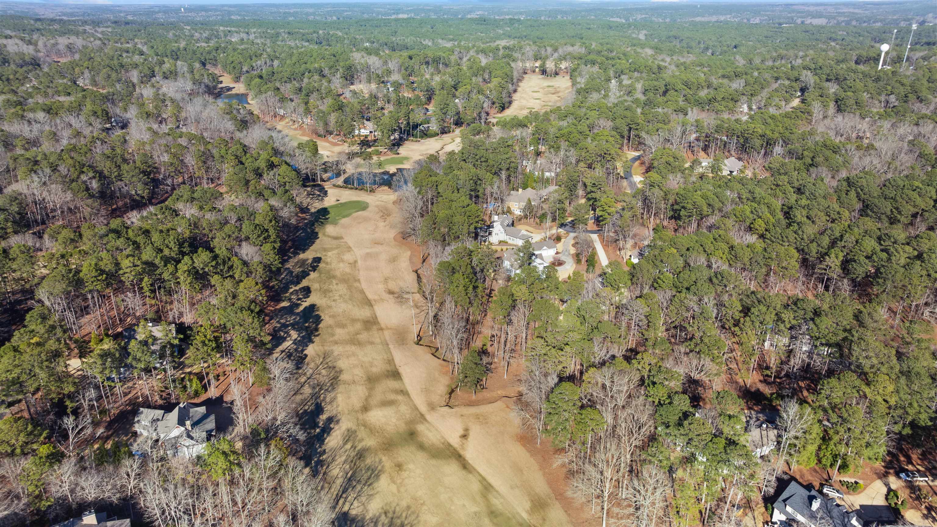 1301 PLANTERS TRAIL image 72