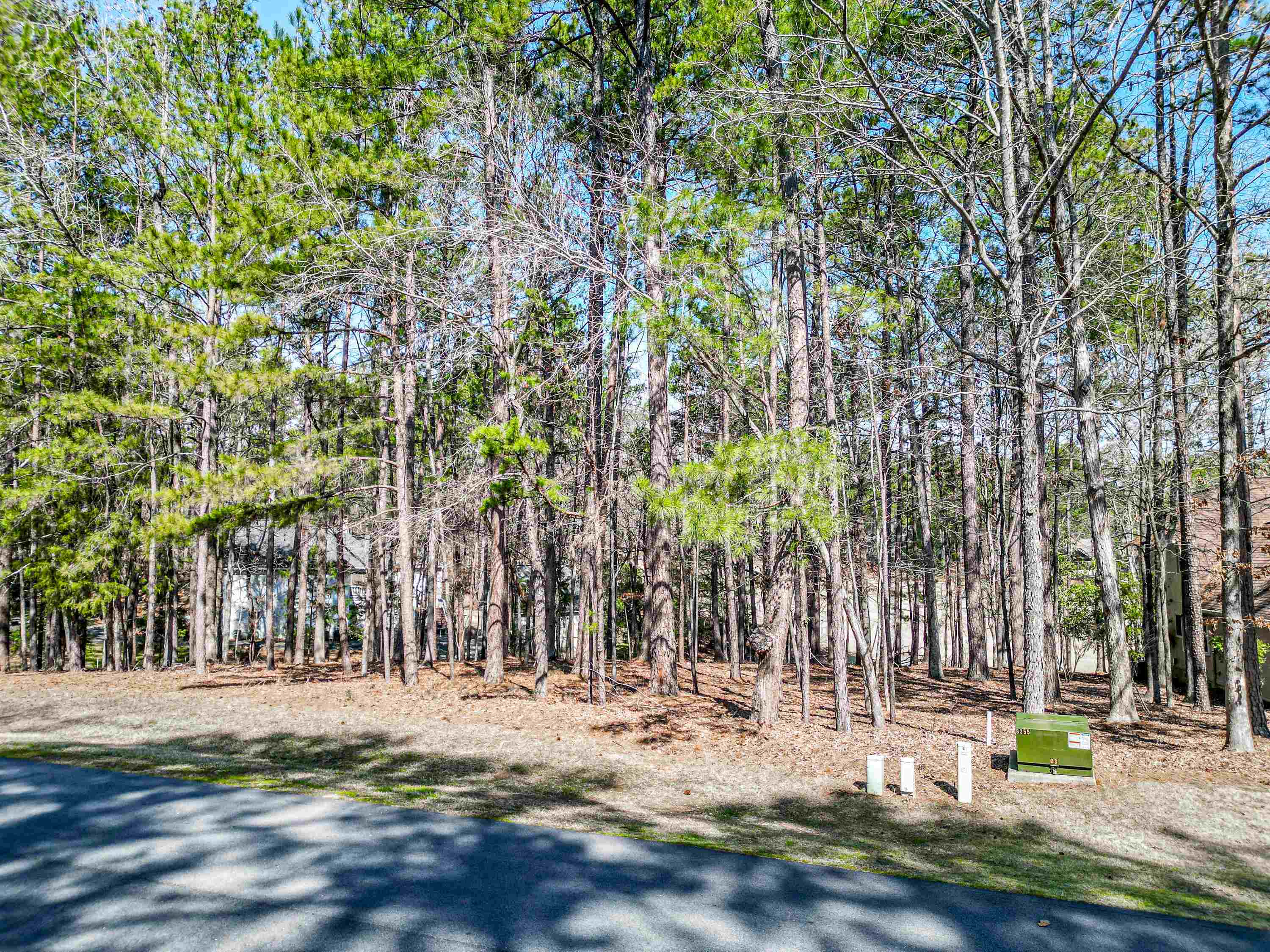 1050 Club Cove Drive image 2