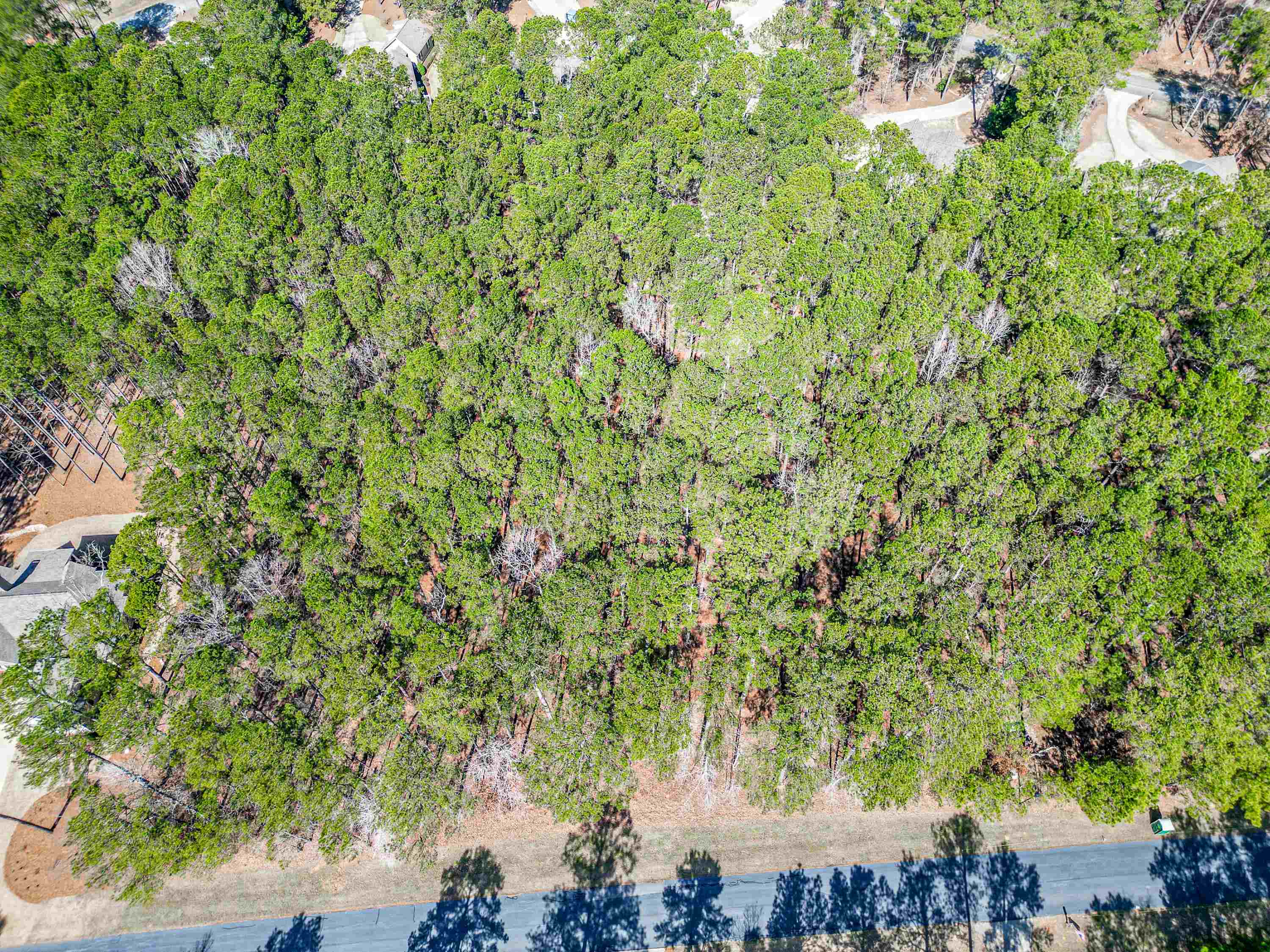 1051 Big Water Point image 2