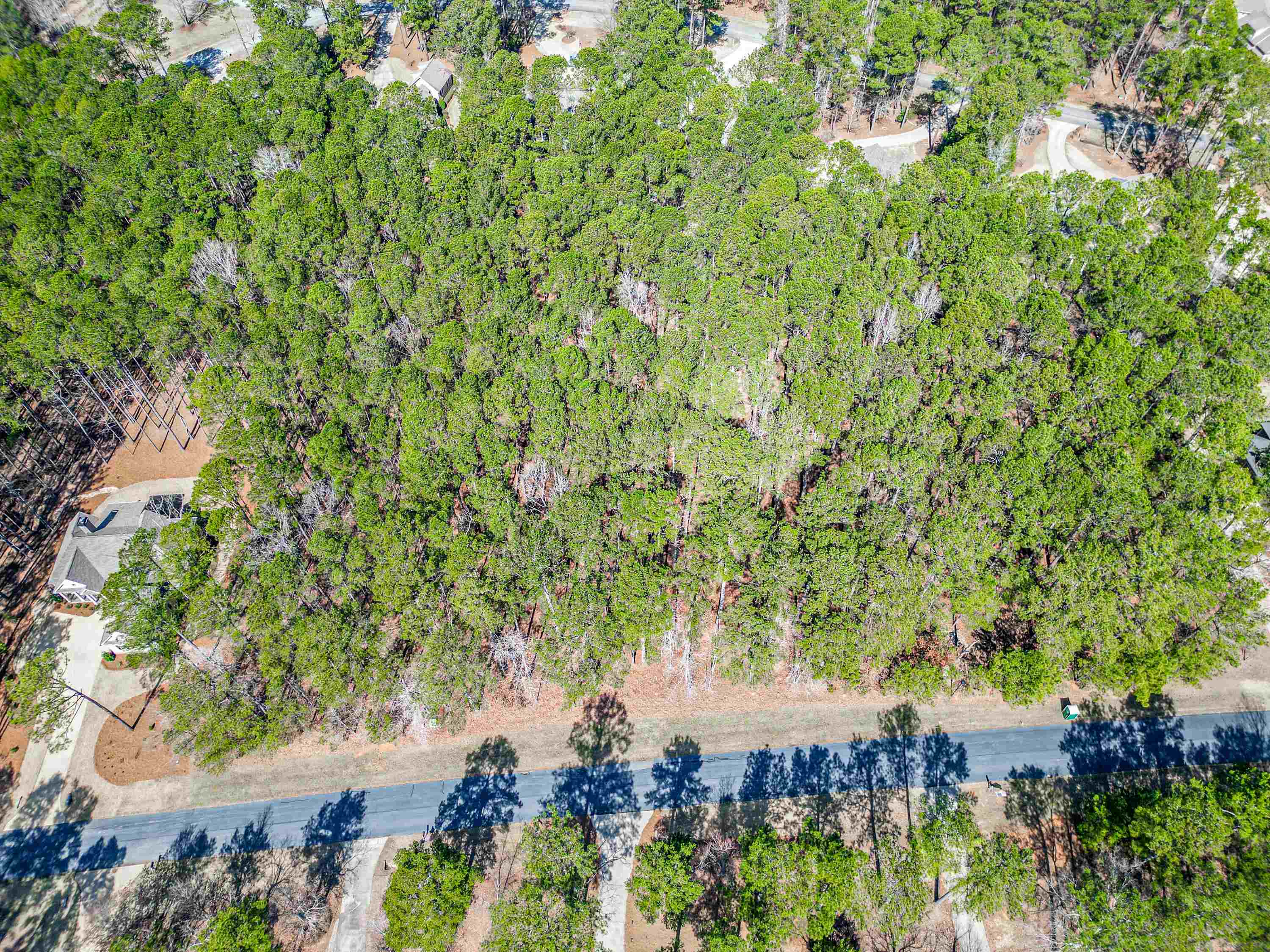 1051 Big Water Point image 3