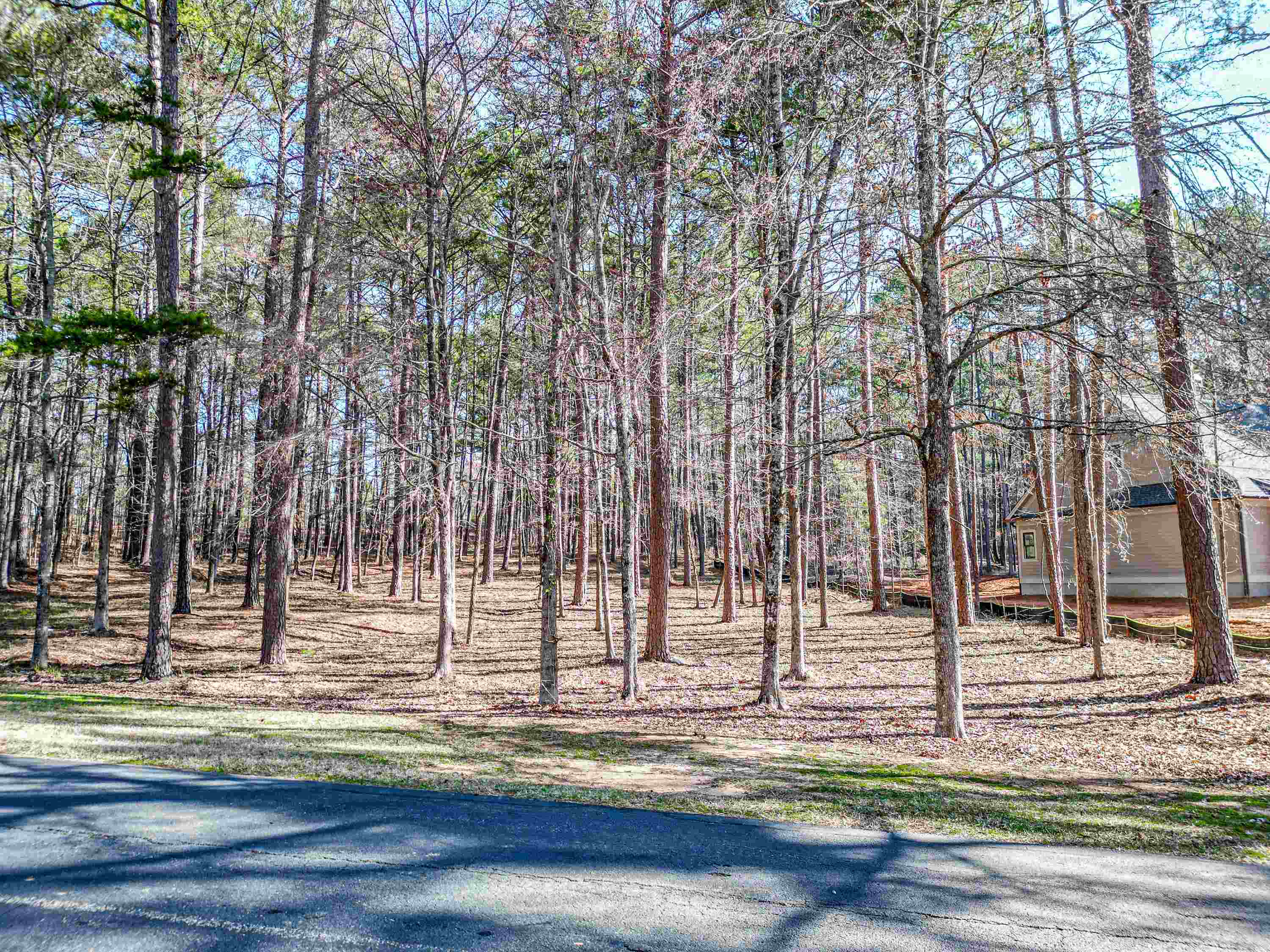 1050 Centennial Post Lane image 3