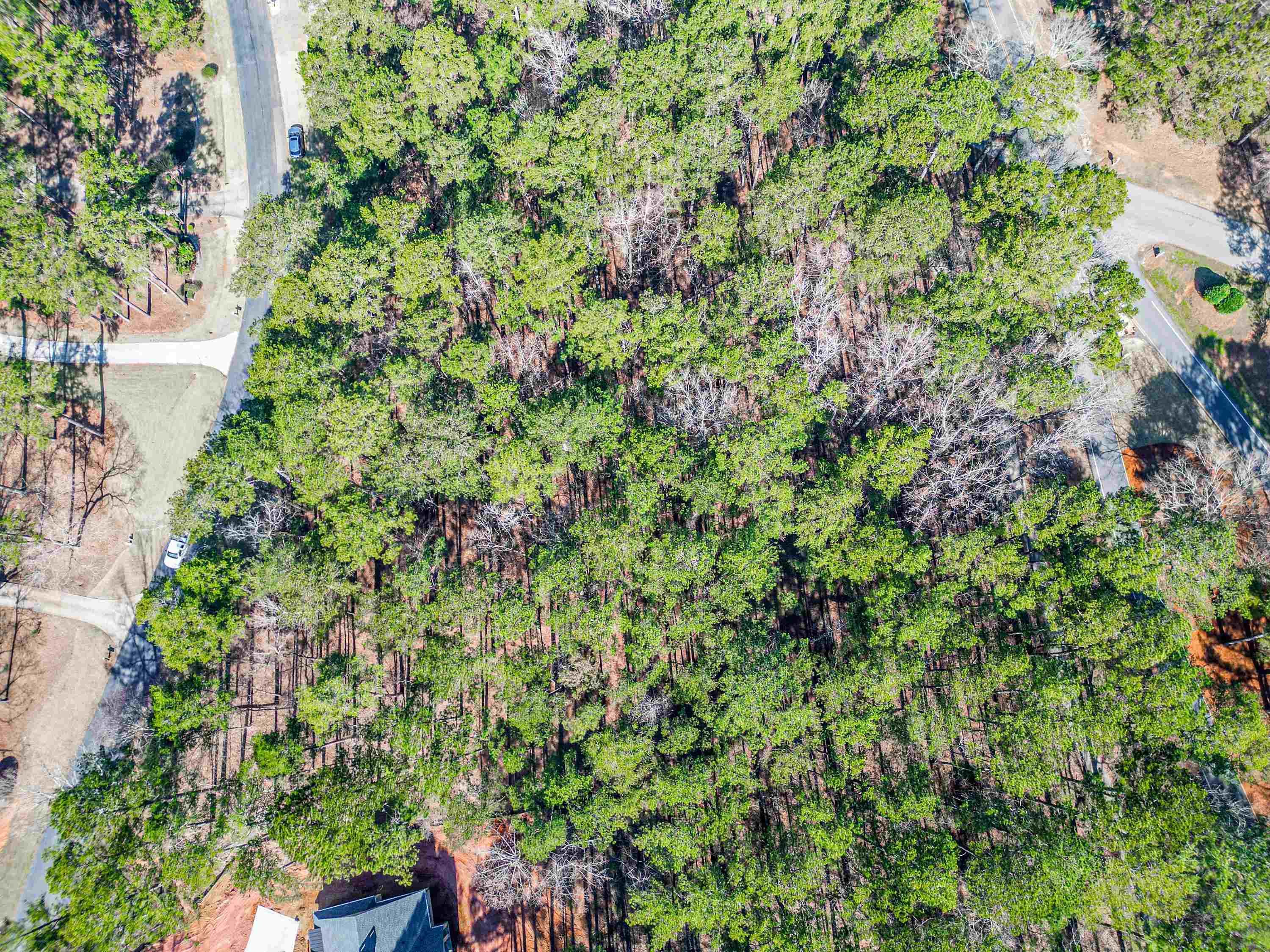 1050 Centennial Post Lane image 21