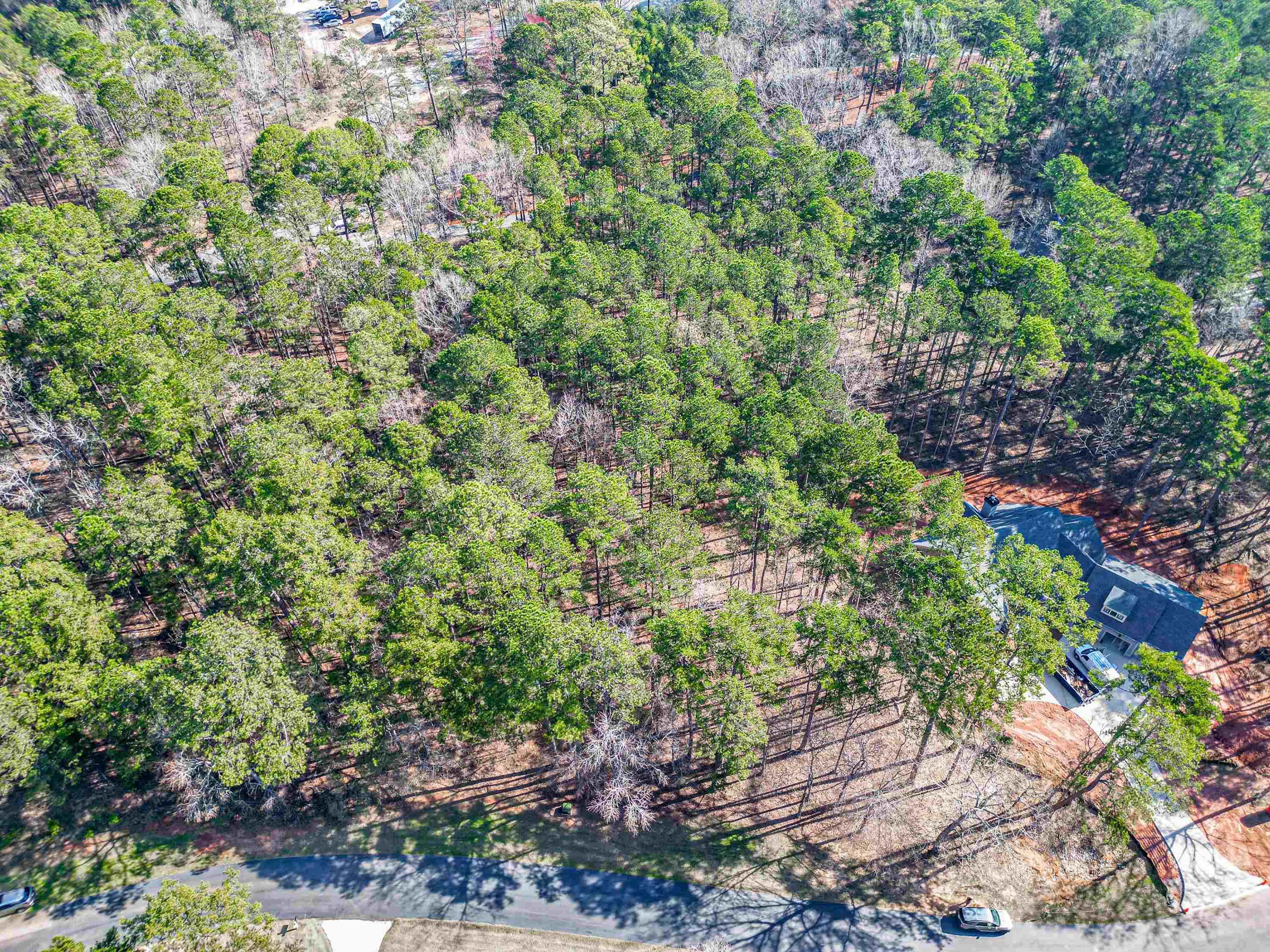 1050 Centennial Post Lane image 6