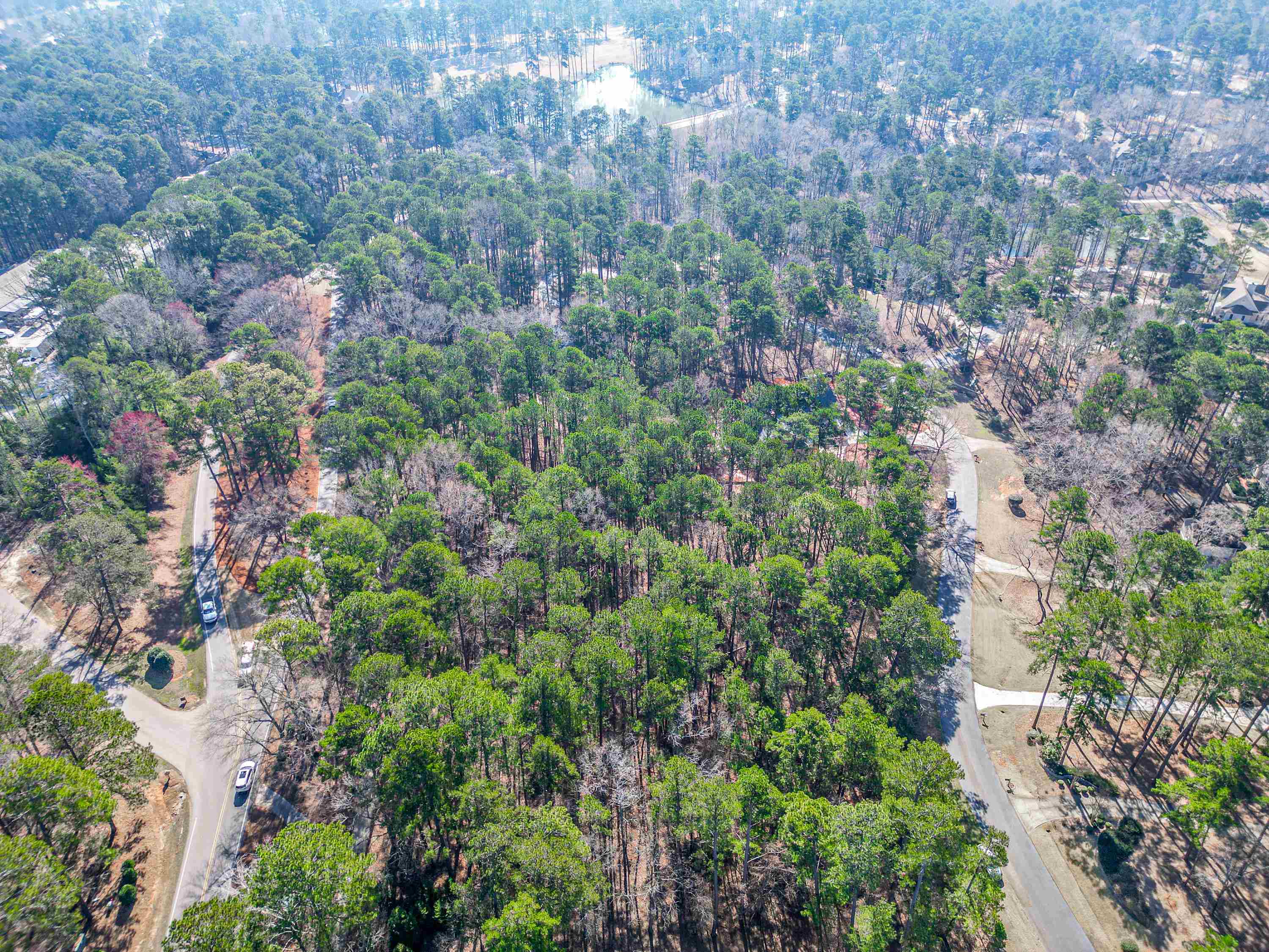 1050 Centennial Post Lane image 9