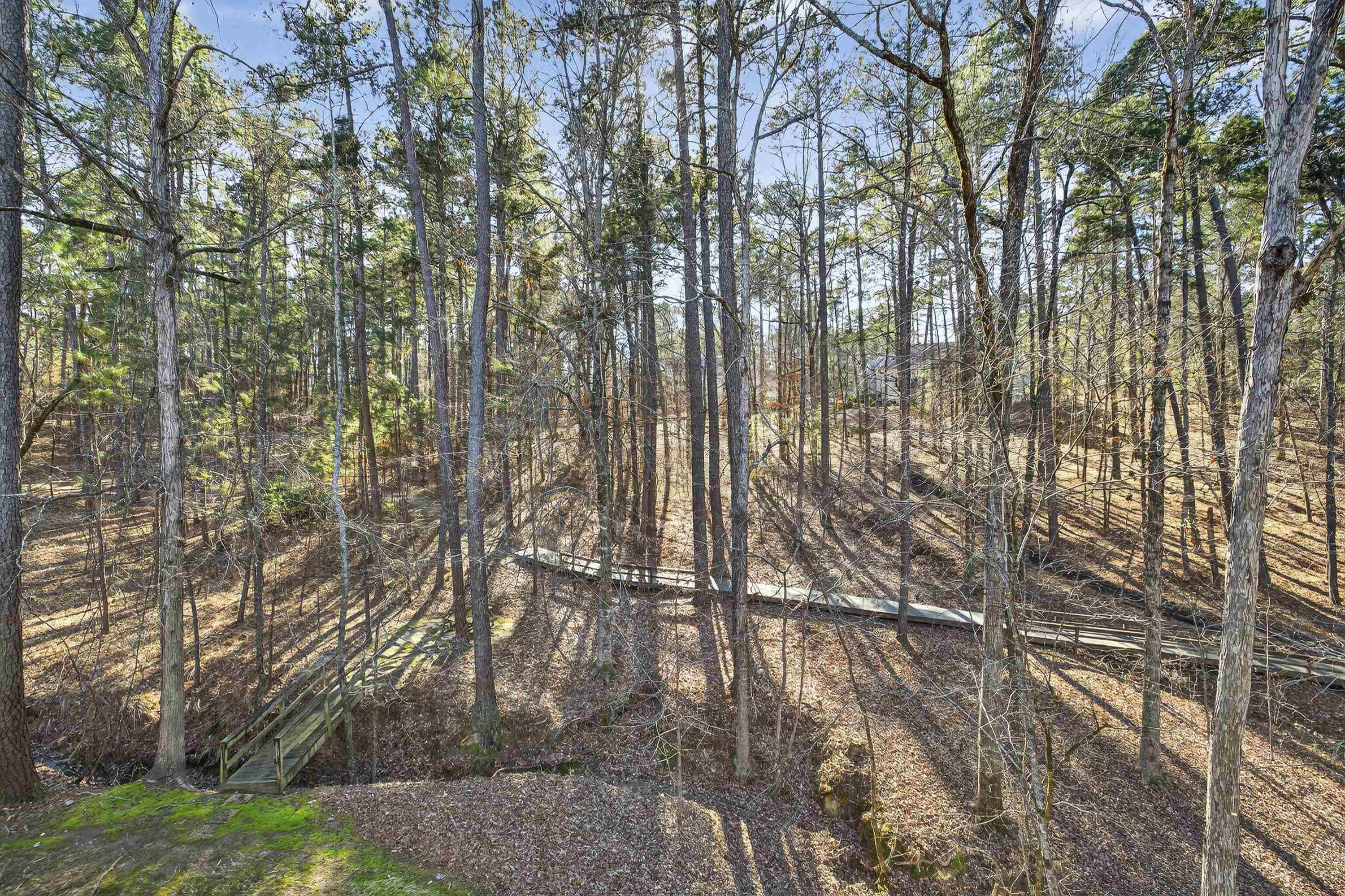 1020 TROUBLESOME CREEK LANE image 52