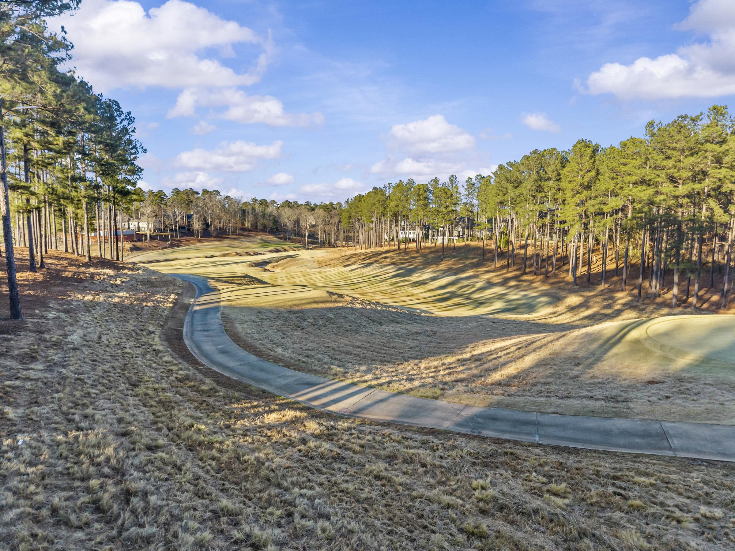 1230 COTTAGE LANE EAST image 65