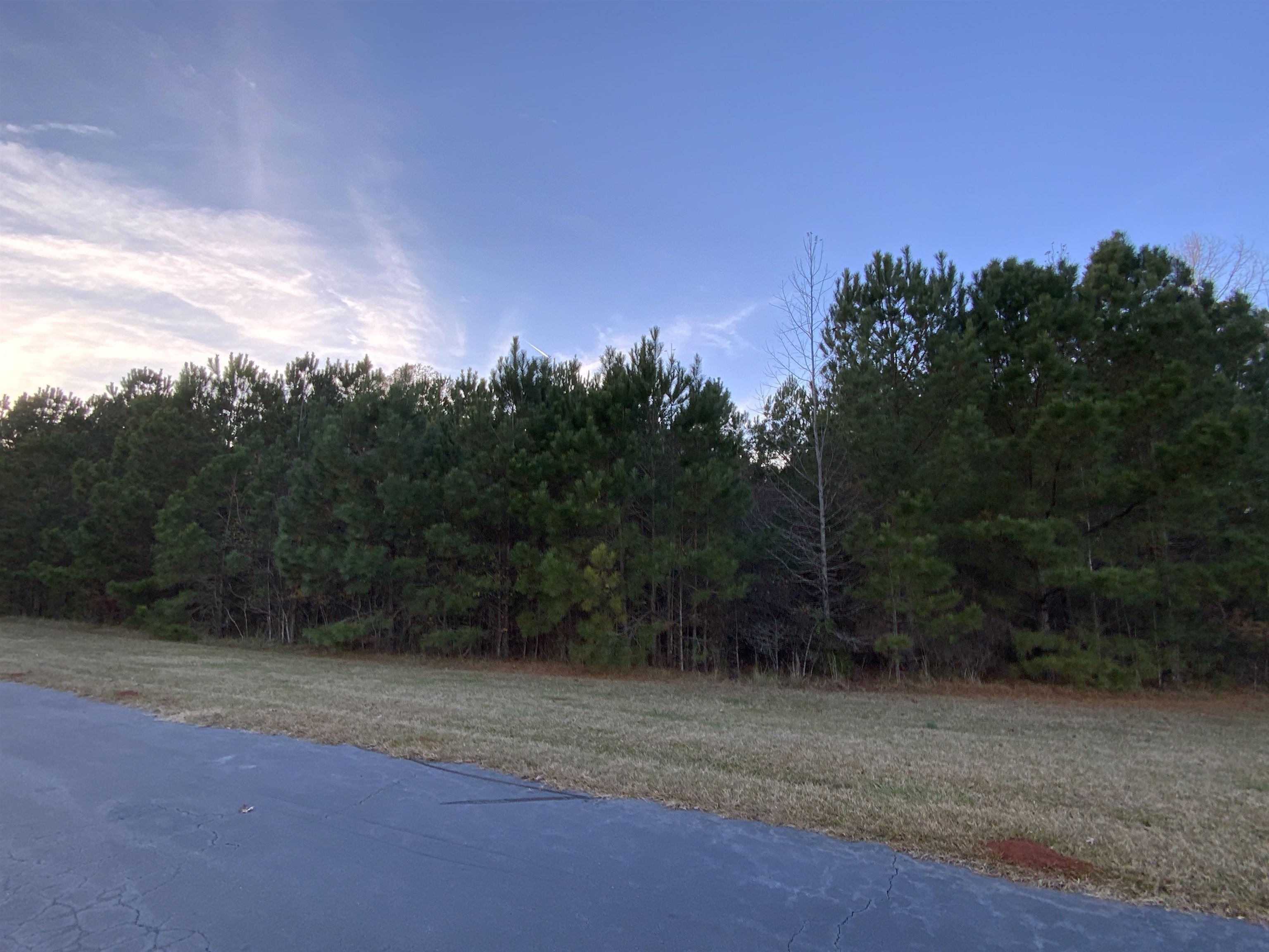 100 Pine Bloom Way image 3