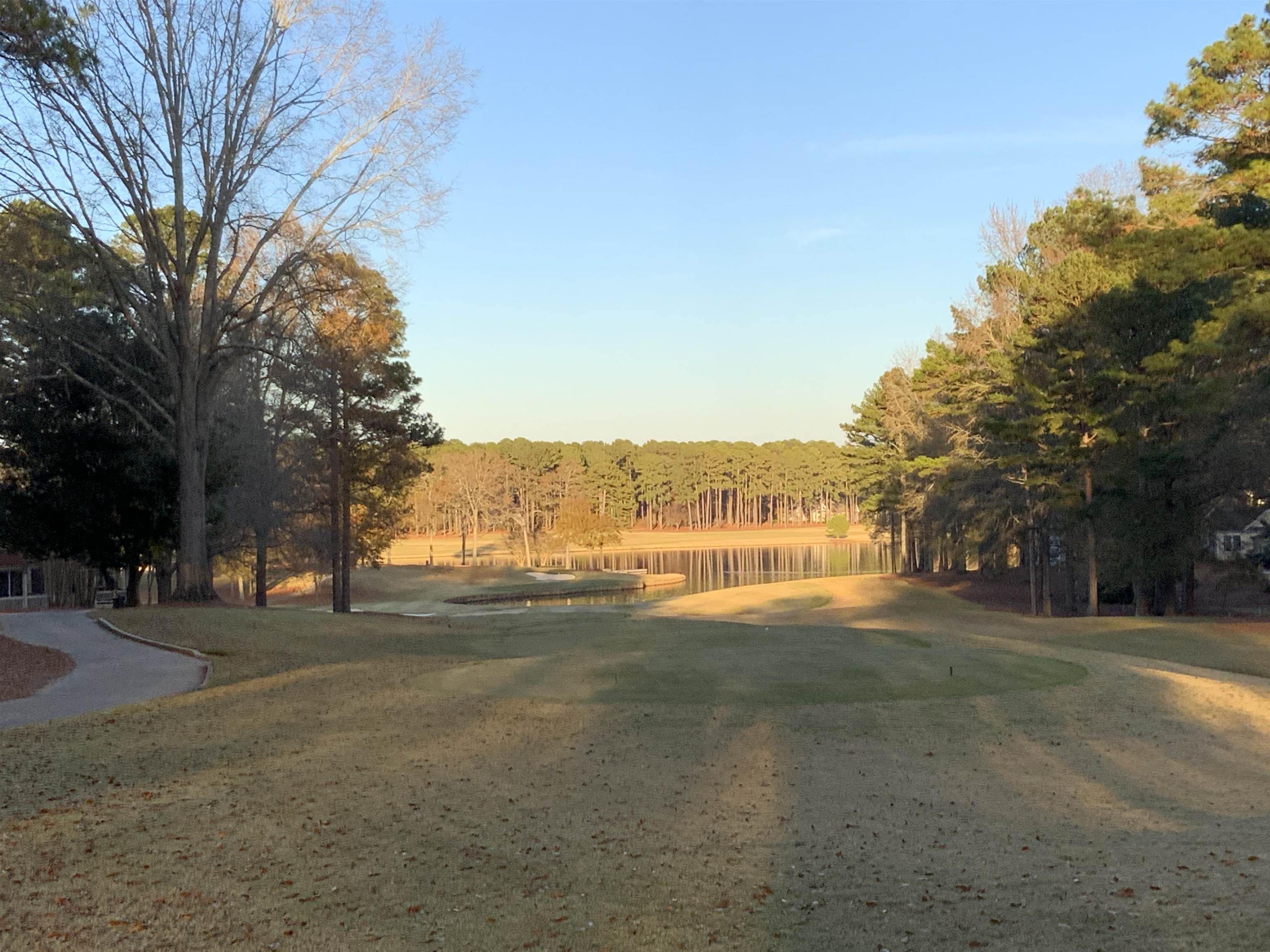 100 Pine Bloom Way image 5