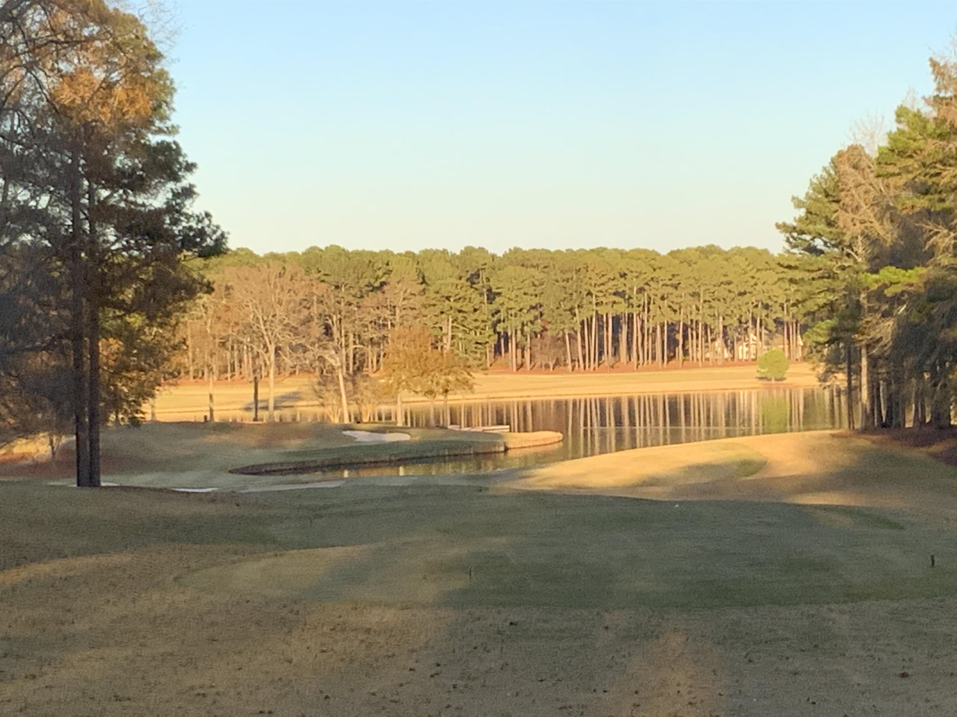 100 Pine Bloom Way image 6