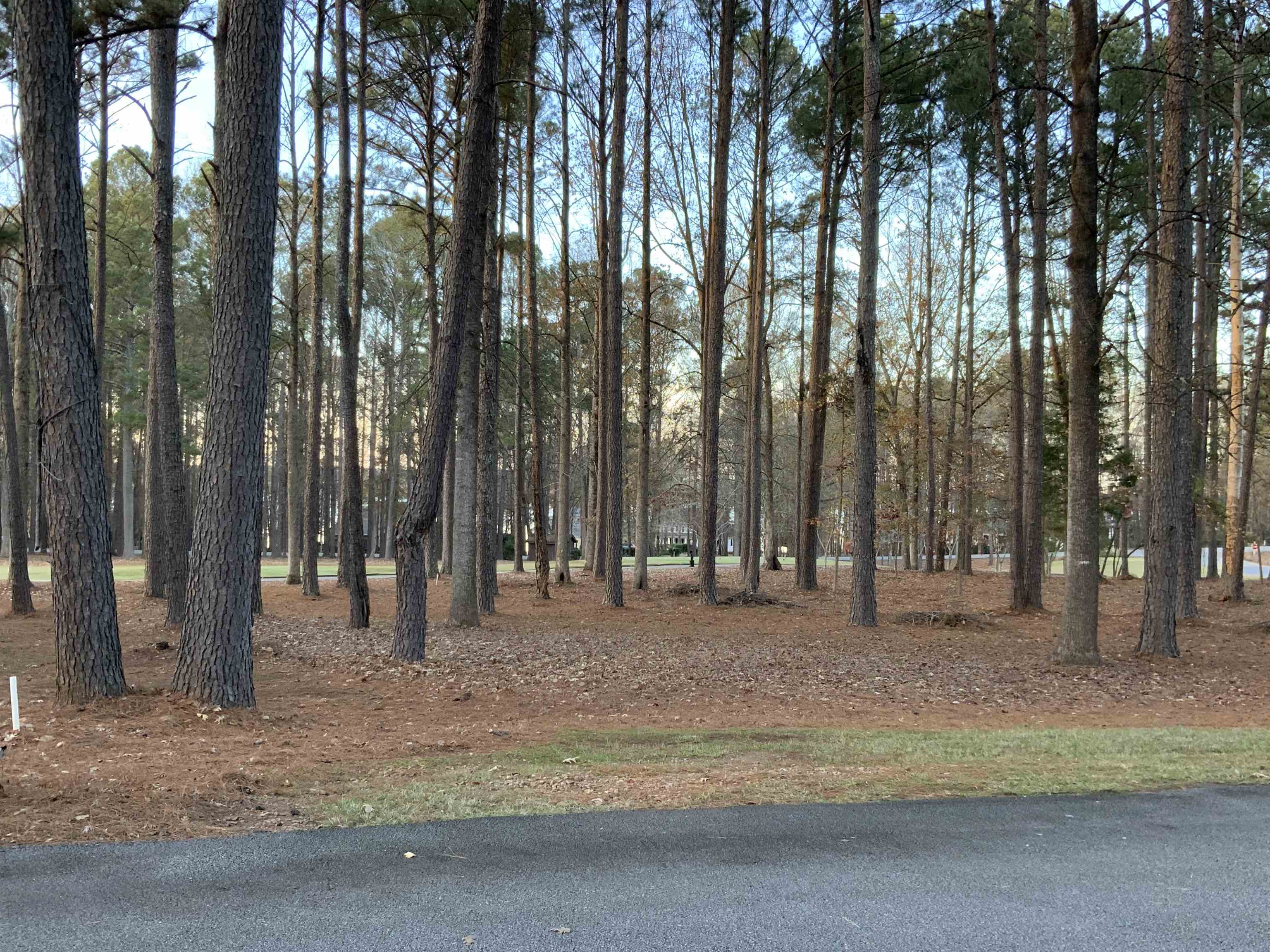 Lot 18 HIGHGATE DRIVE image 4