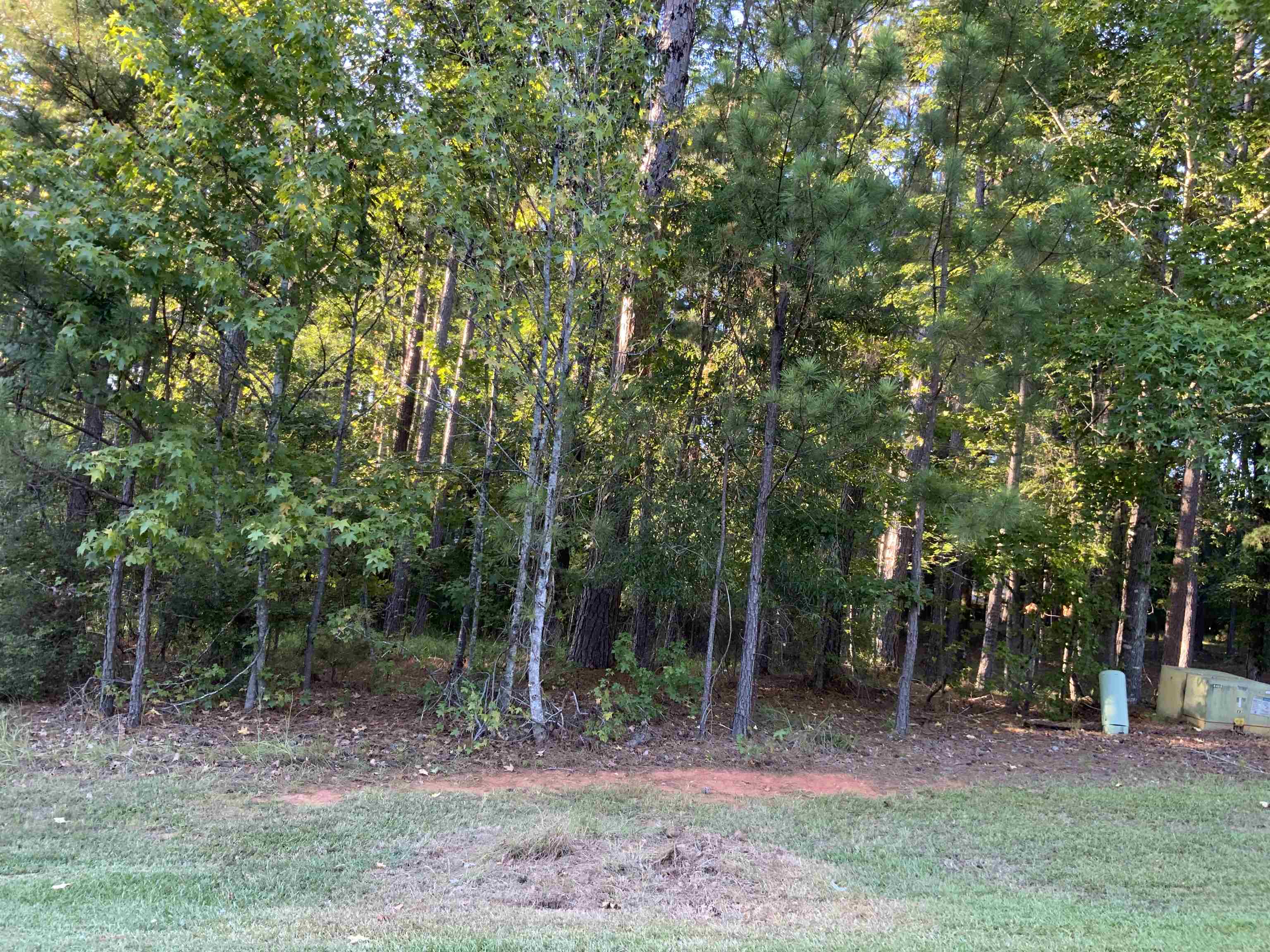 1061 Big Water Point image 4