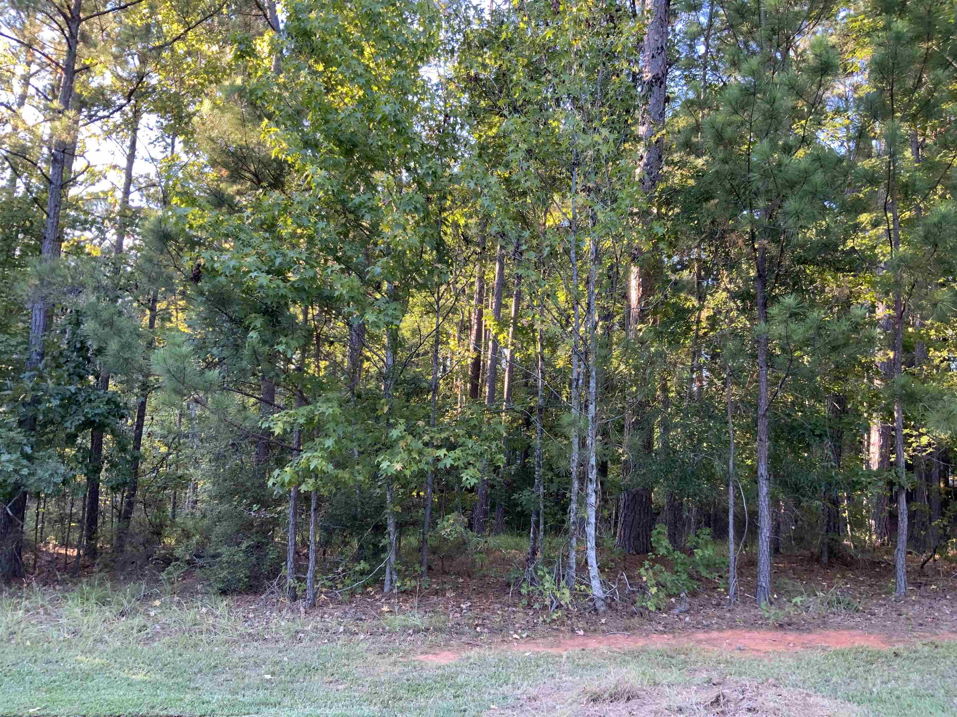 1061 Big Water Point image 3