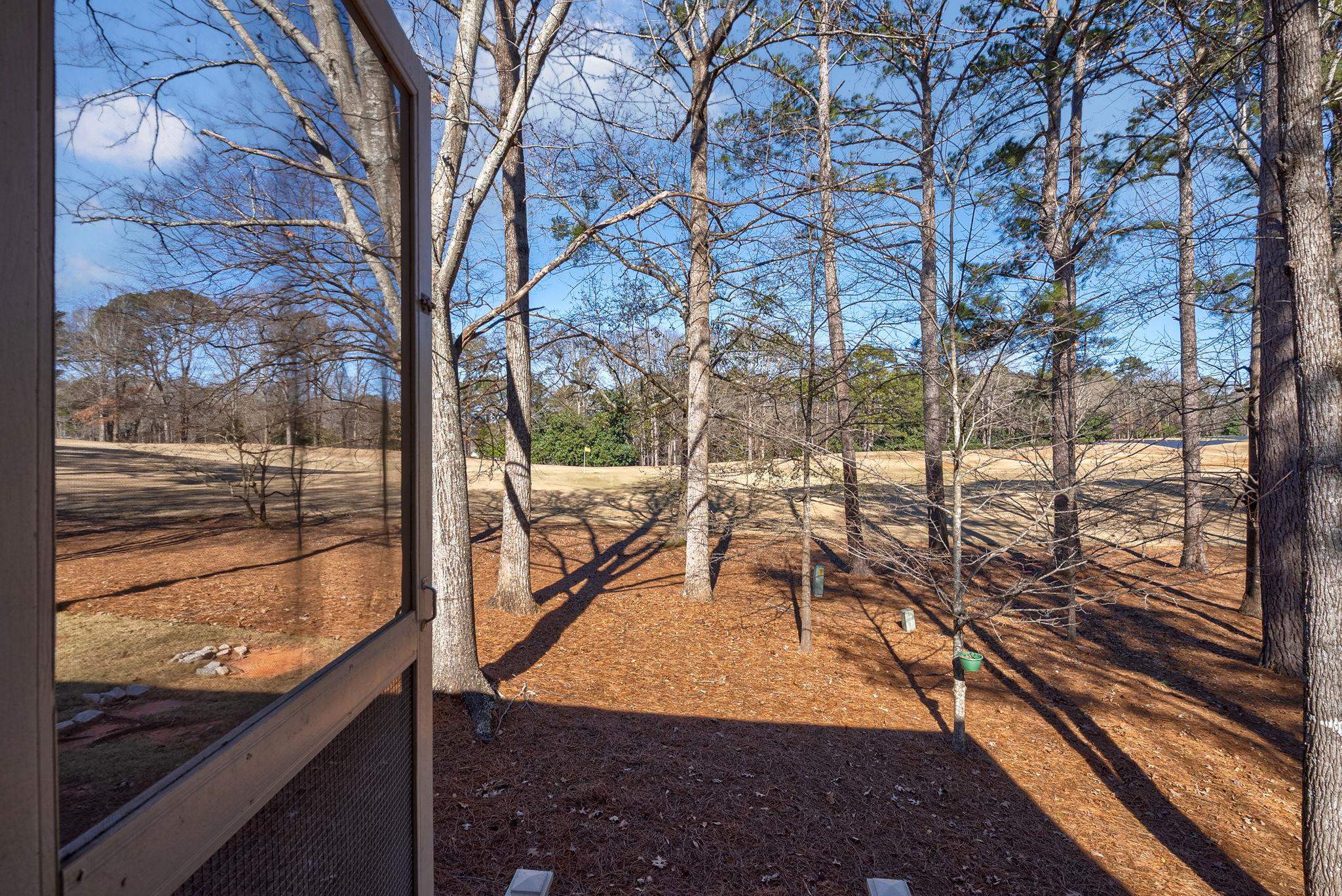 206 BEECH HAVEN LANE image 34