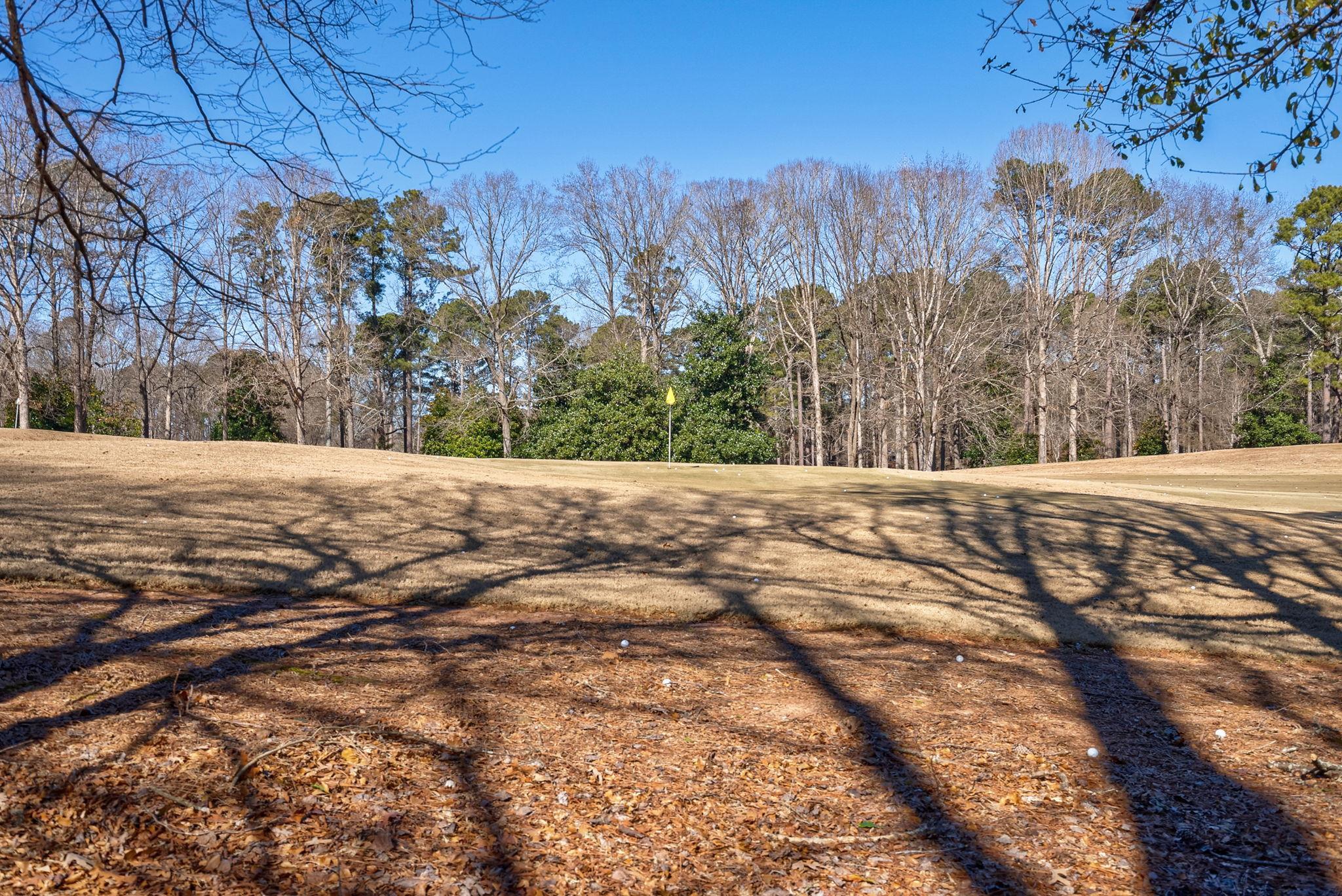 206 BEECH HAVEN LANE image 35