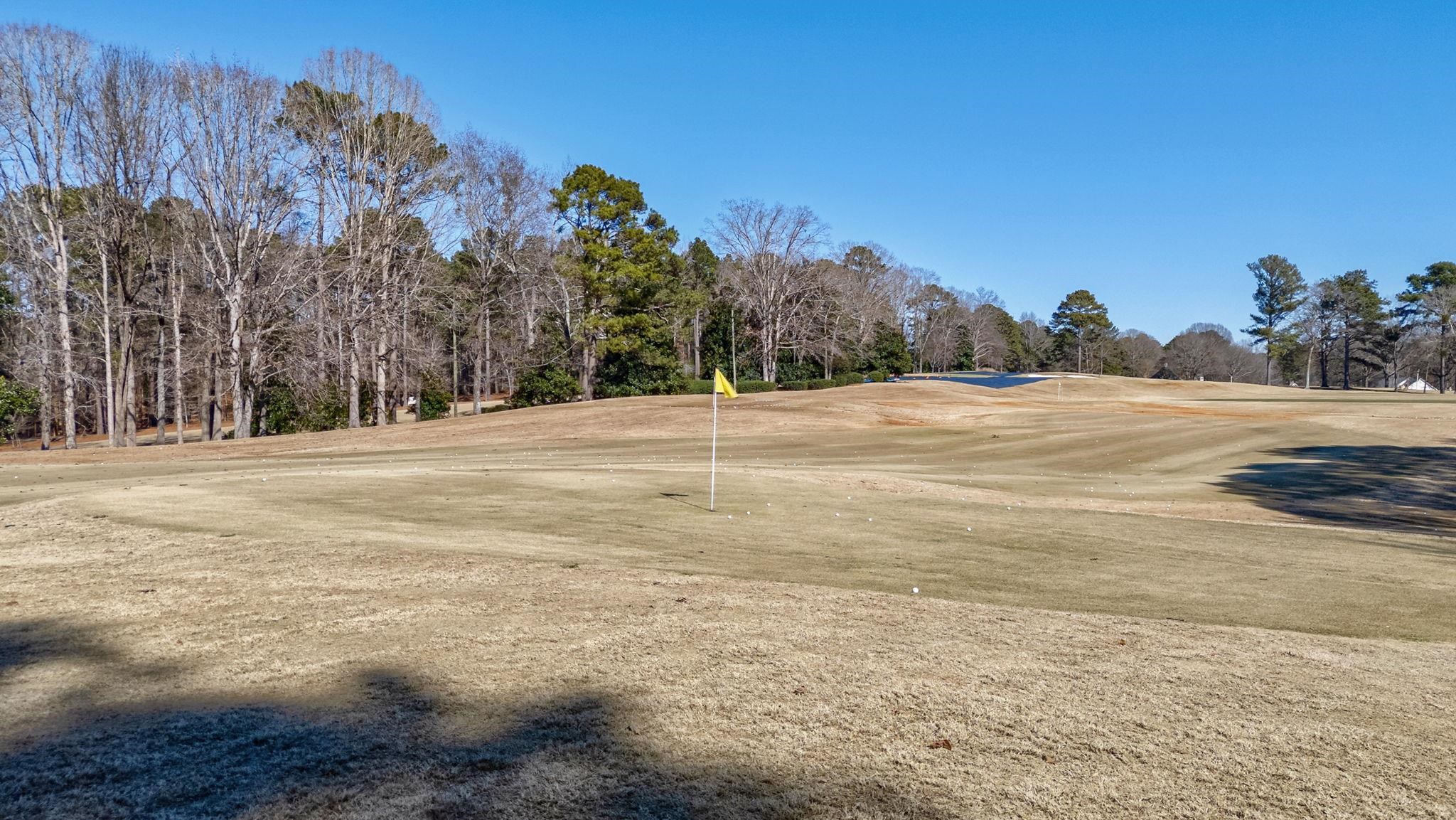 206 BEECH HAVEN LANE image 39