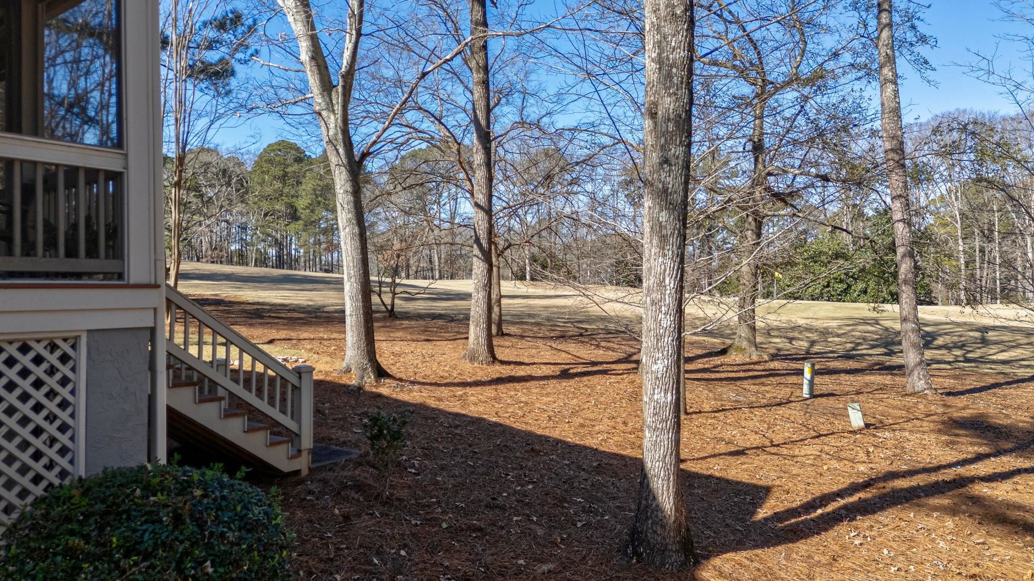 206 BEECH HAVEN LANE image 42