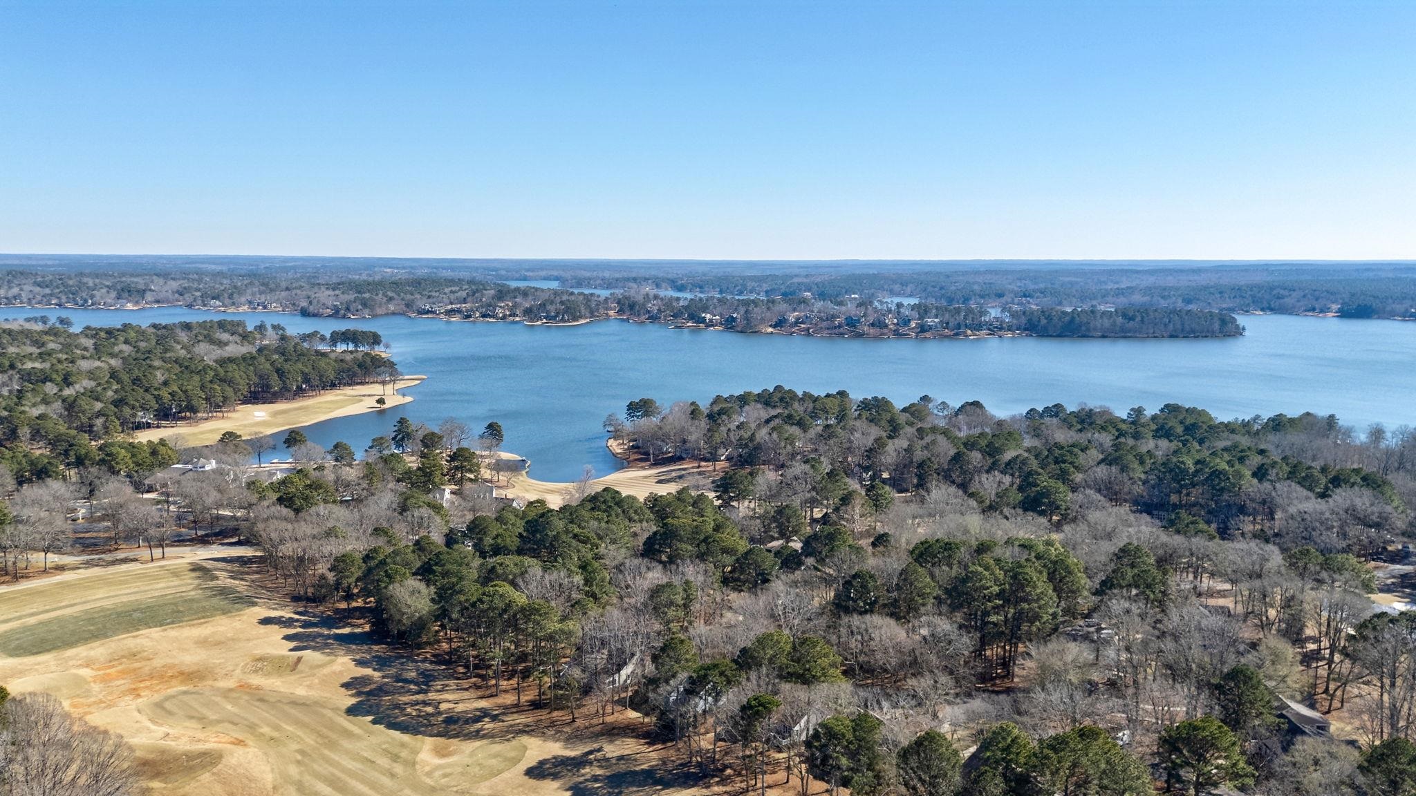 206 BEECH HAVEN LANE image 44