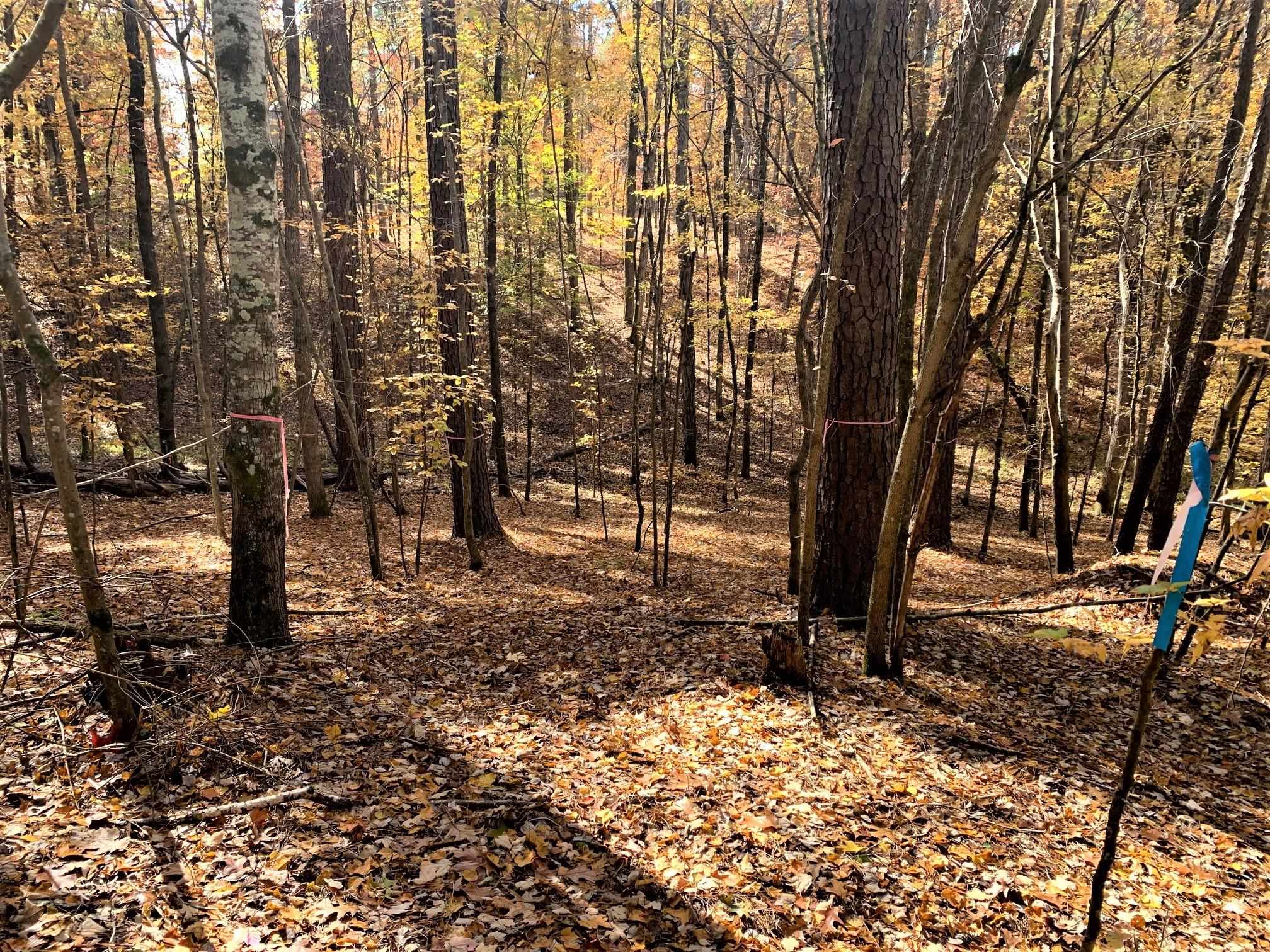 1520 Snug Harbor Drive image 2