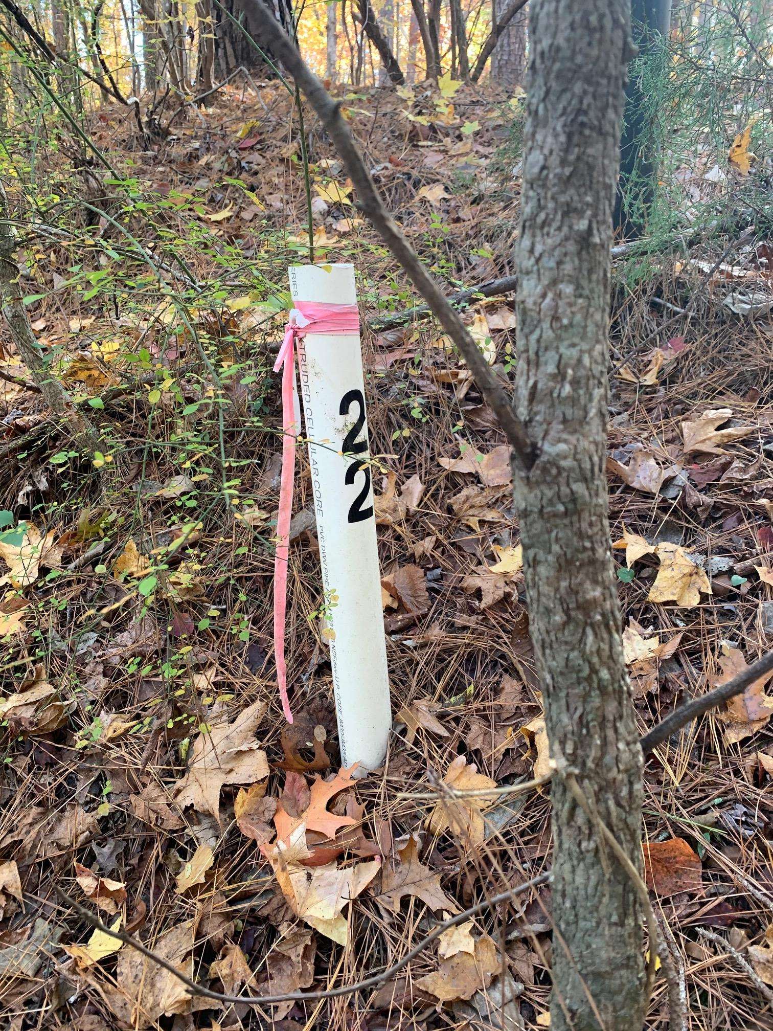 1520 Snug Harbor Drive image 7