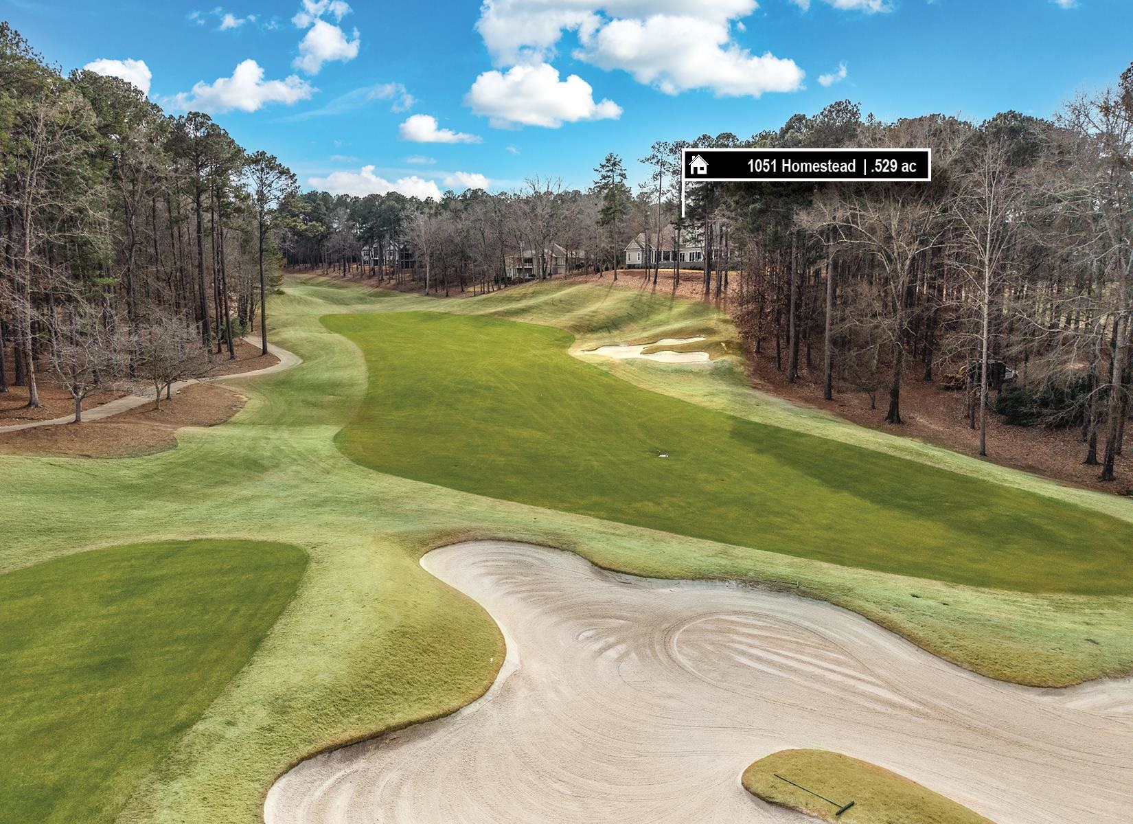 1051 HOMESTEAD image 5