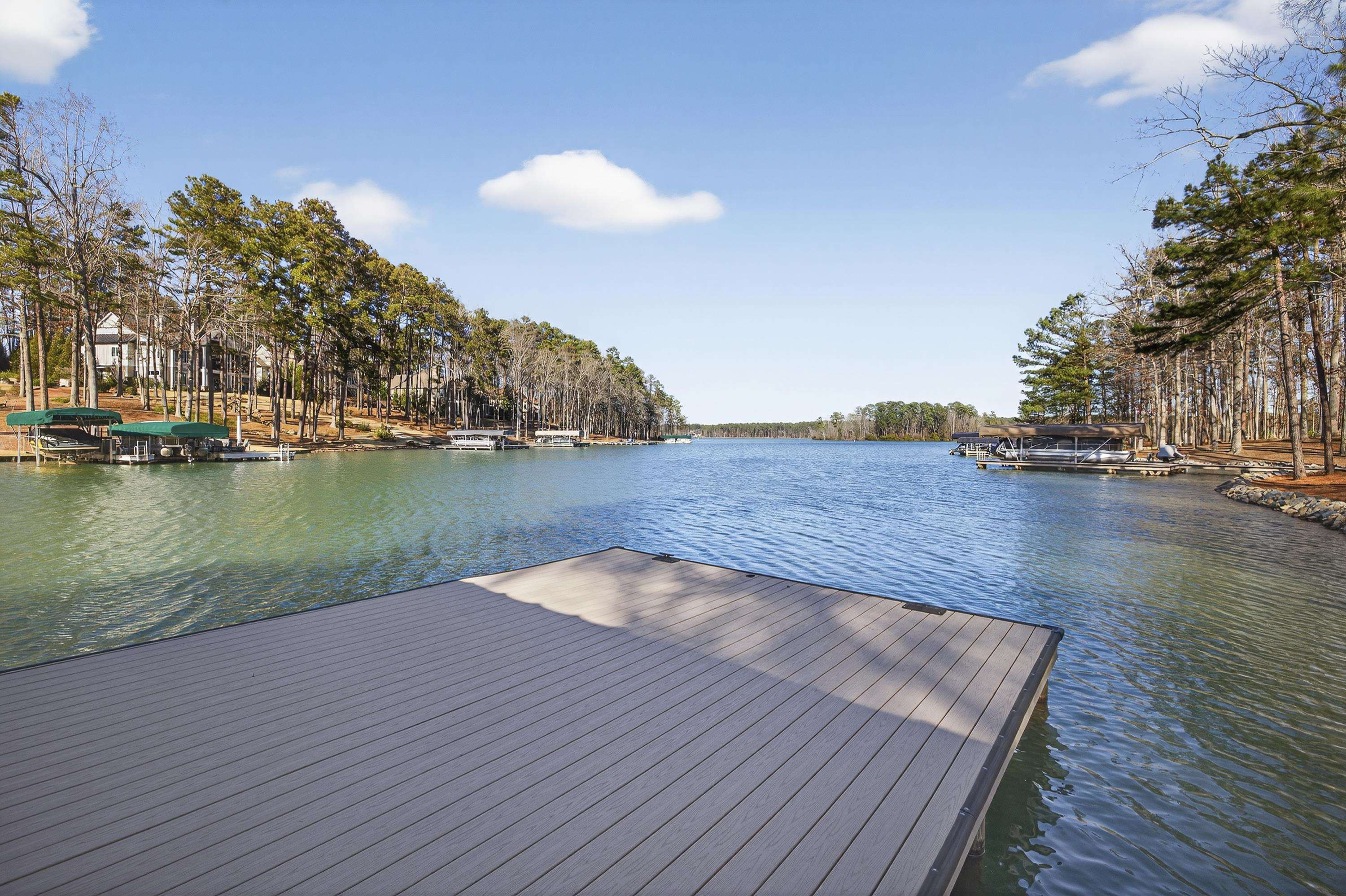 1030 BRICKYARD LANE image 12