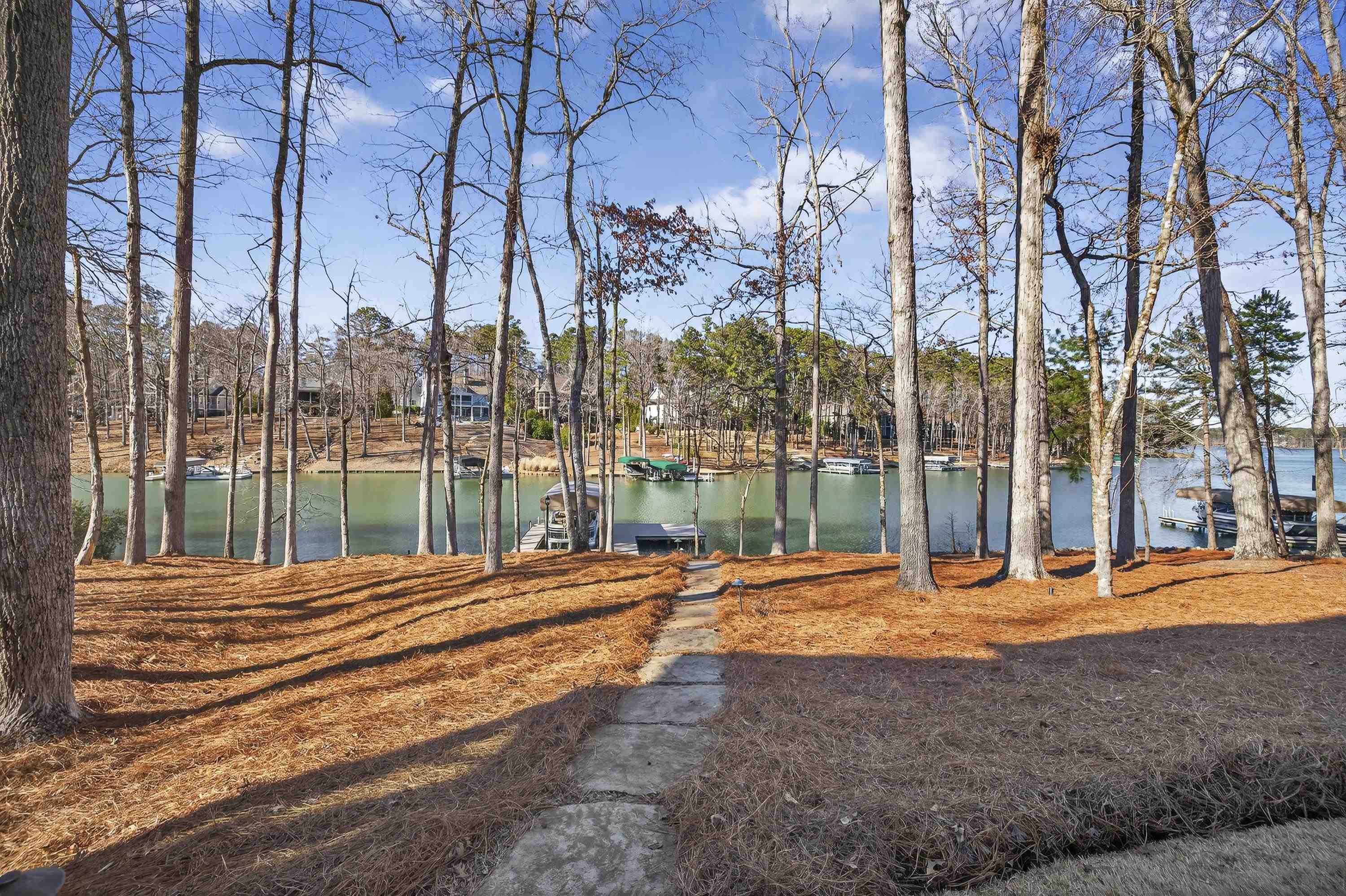 1030 BRICKYARD LANE image 7