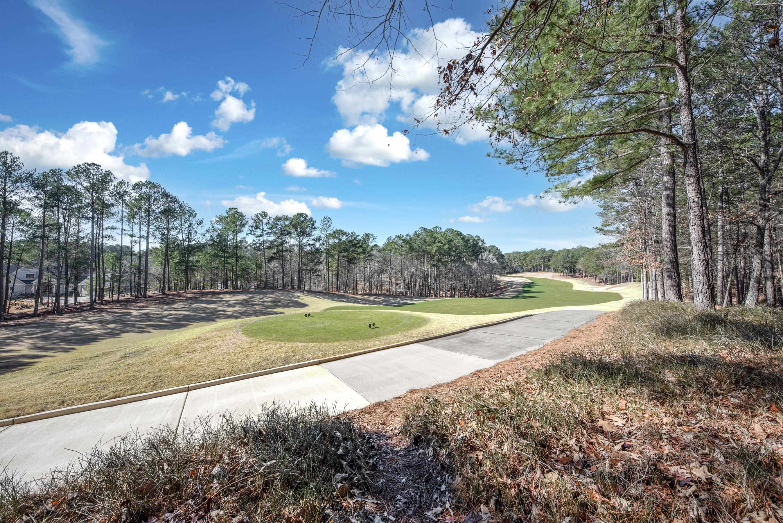 1050 REUBENS COURT image 42