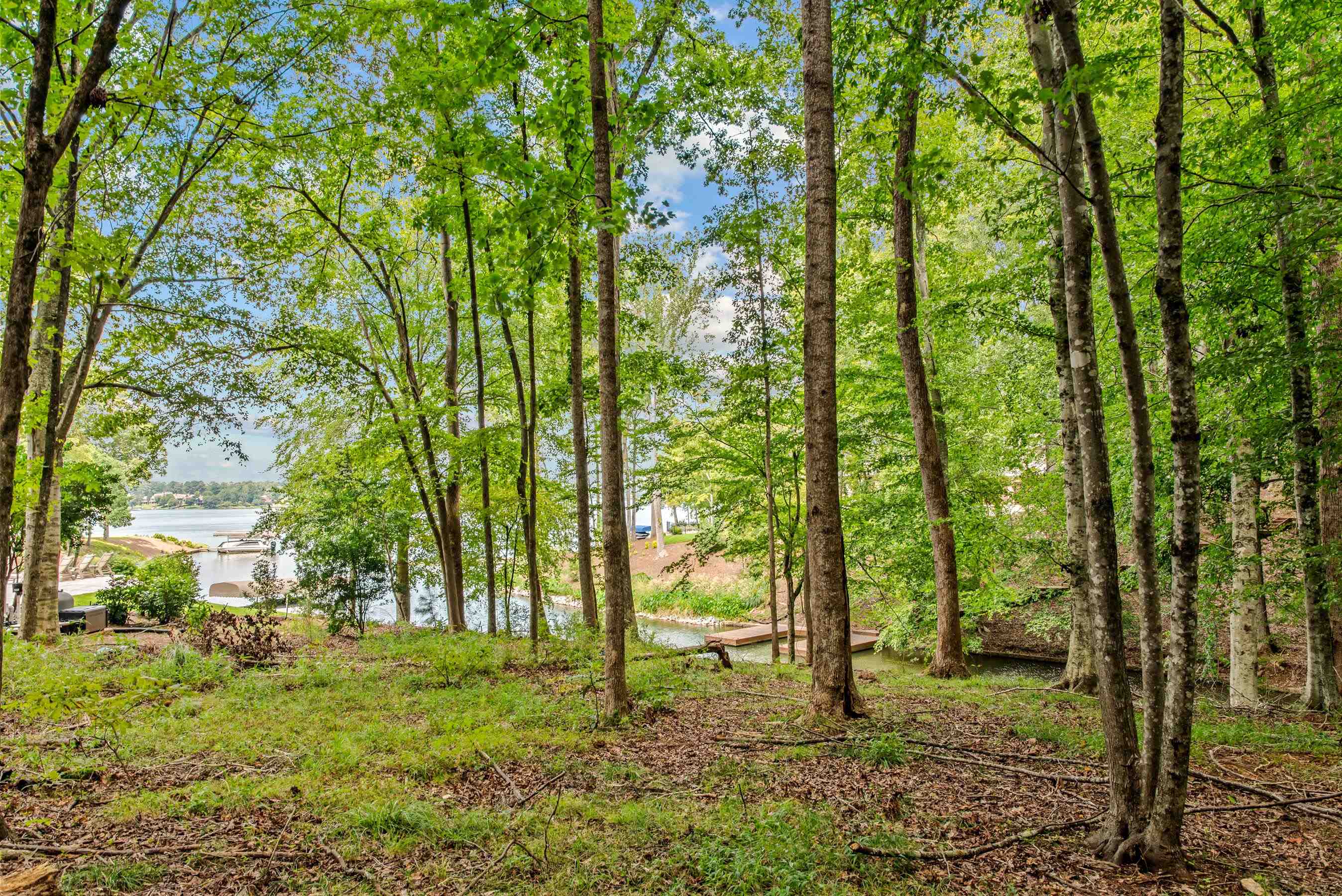 149 Carolyn Drive image 5