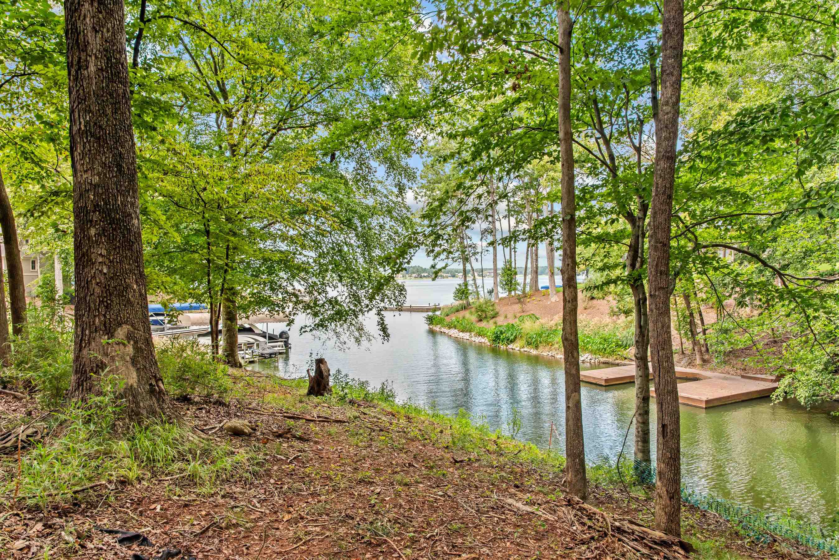 149 Carolyn Drive image 6