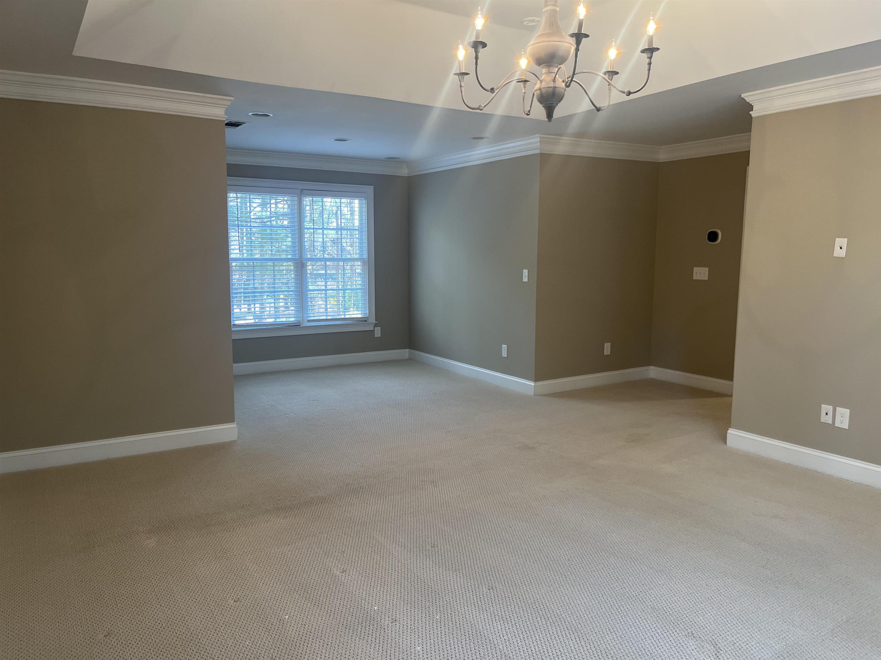 1211 CLUB COVE DRIVE image 13