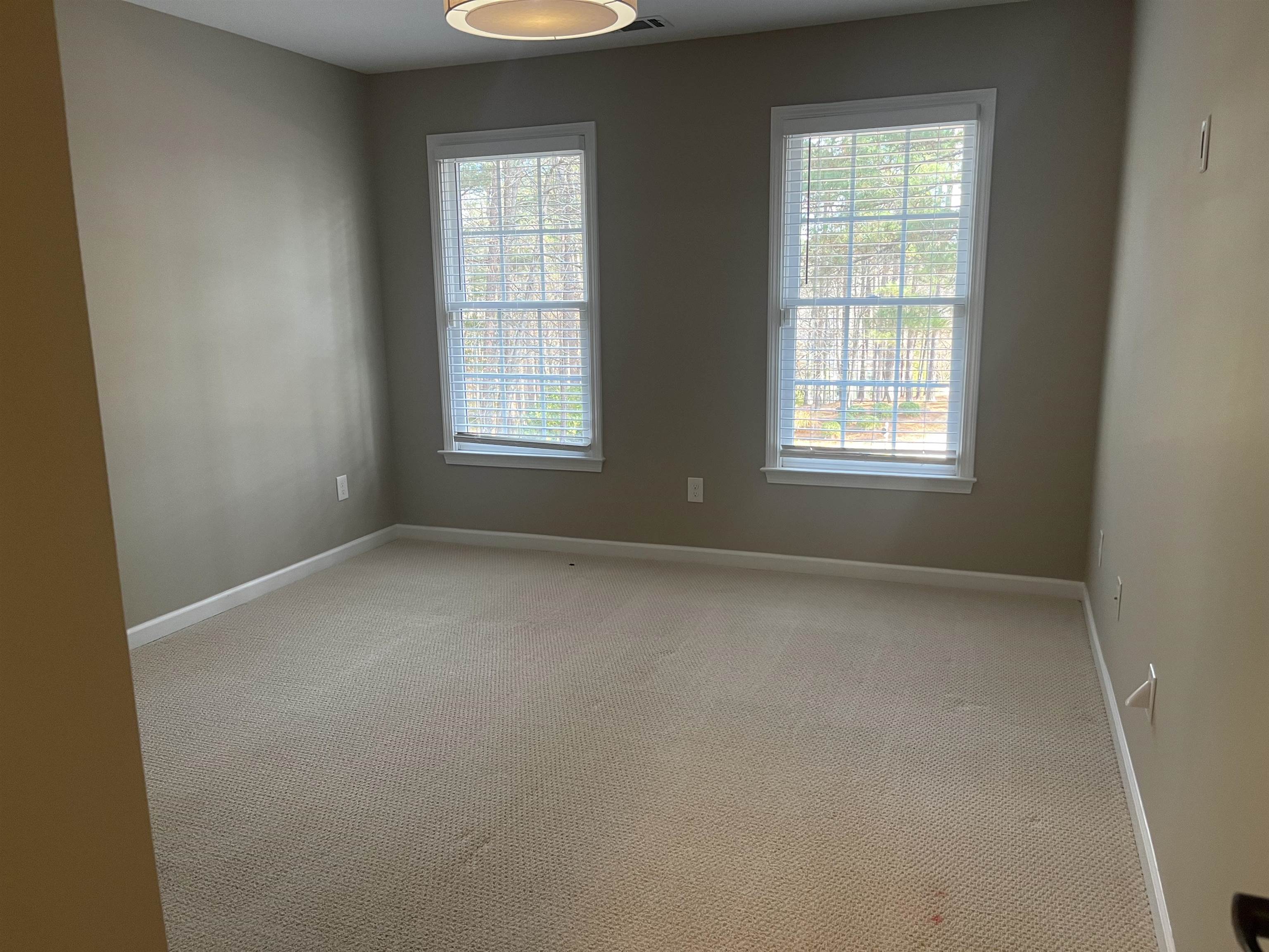 1211 CLUB COVE DRIVE image 19